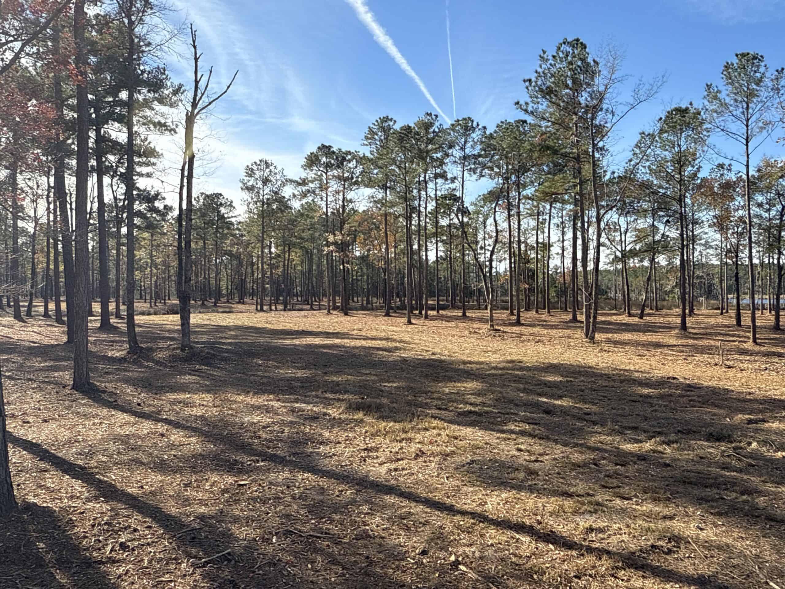 Prime 112-Acre Pungo River Waterfront Land for Sale