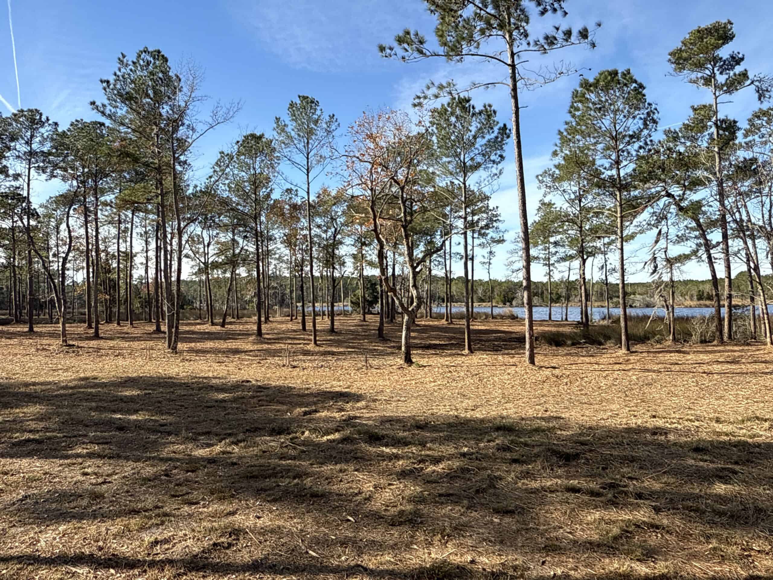 Prime 112-Acre Pungo River Waterfront Land for Sale