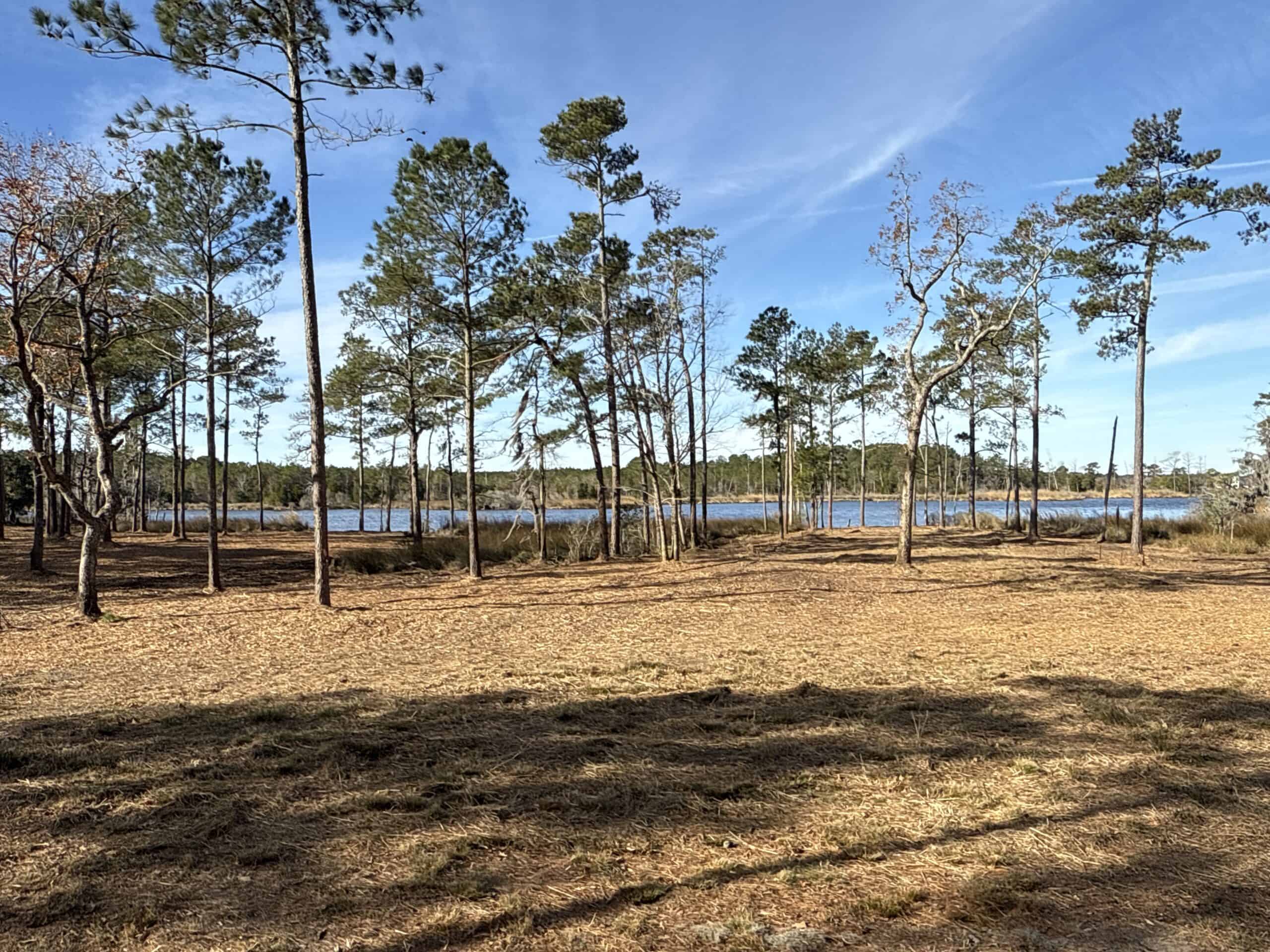 Prime 112-Acre Pungo River Waterfront Land for Sale