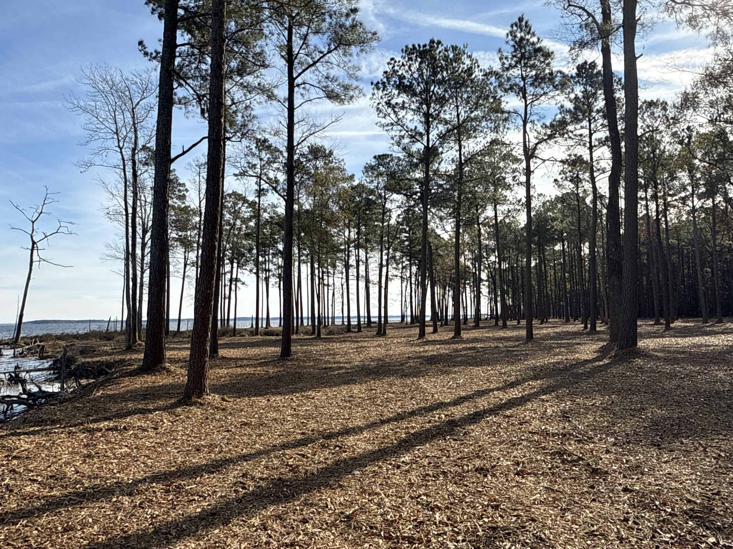 Prime 112-Acre Pungo River Waterfront Land for Sale