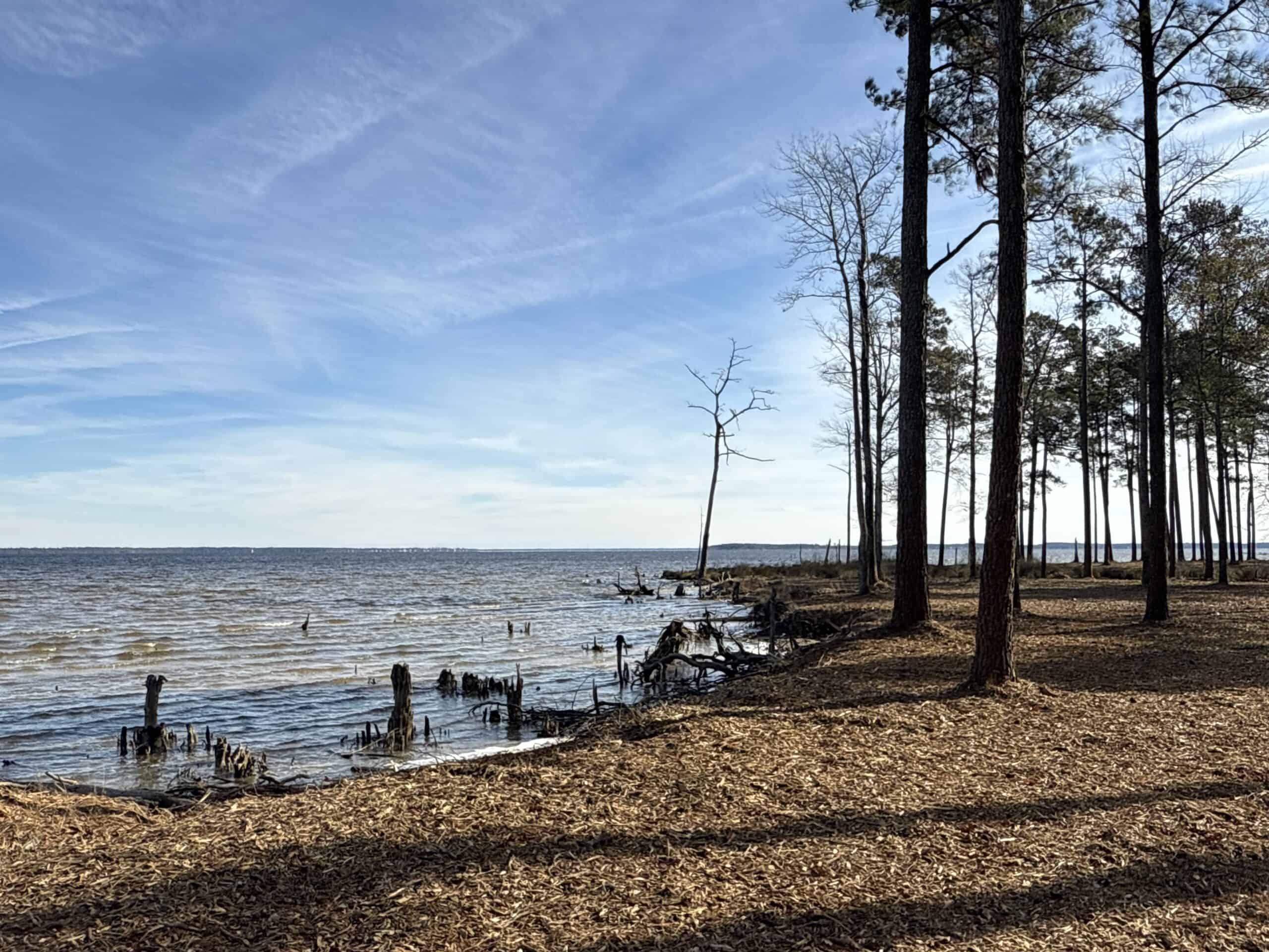 Prime 112-Acre Pungo River Waterfront Land for Sale