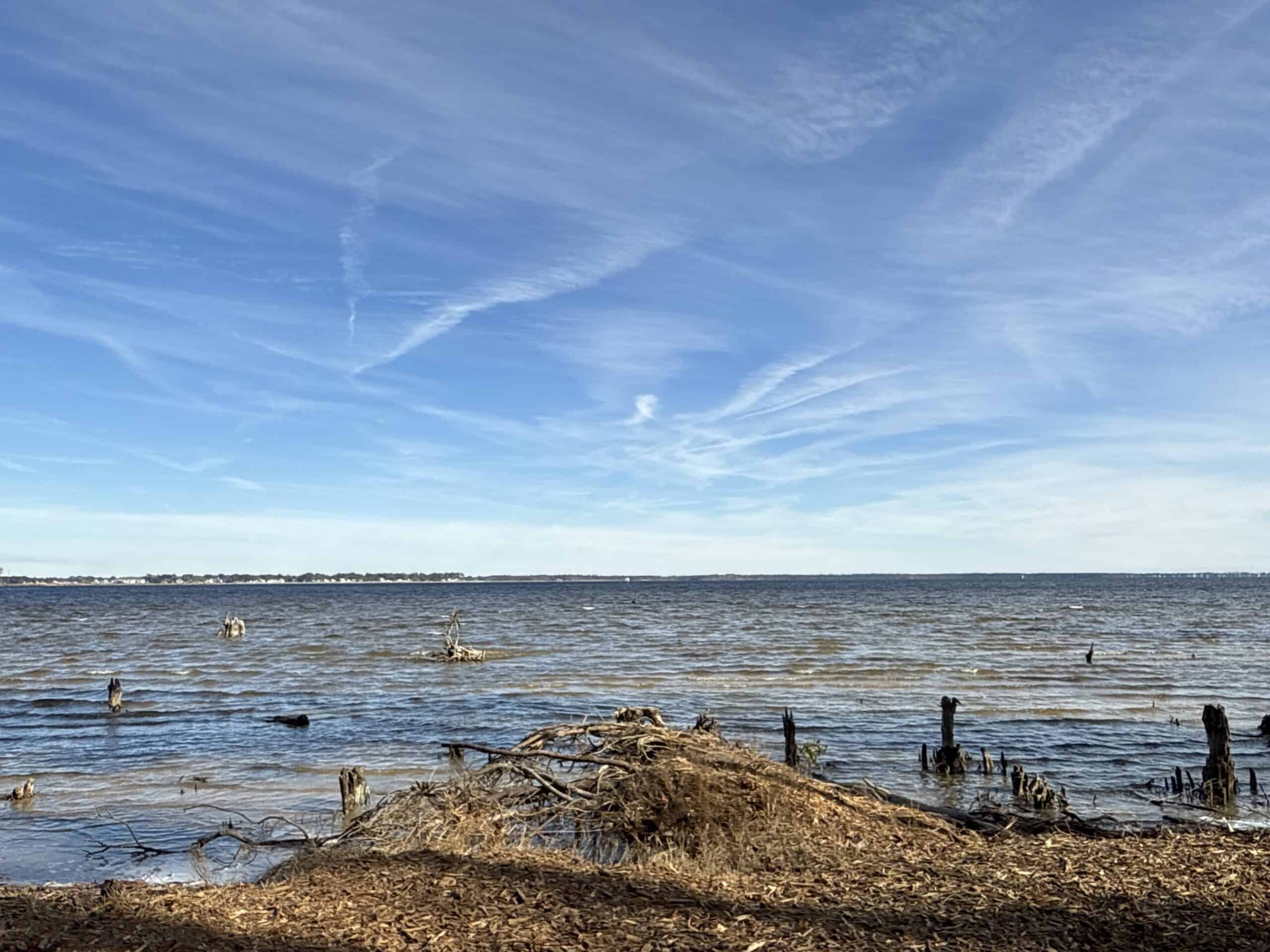 Prime 112-Acre Pungo River Waterfront Land for Sale