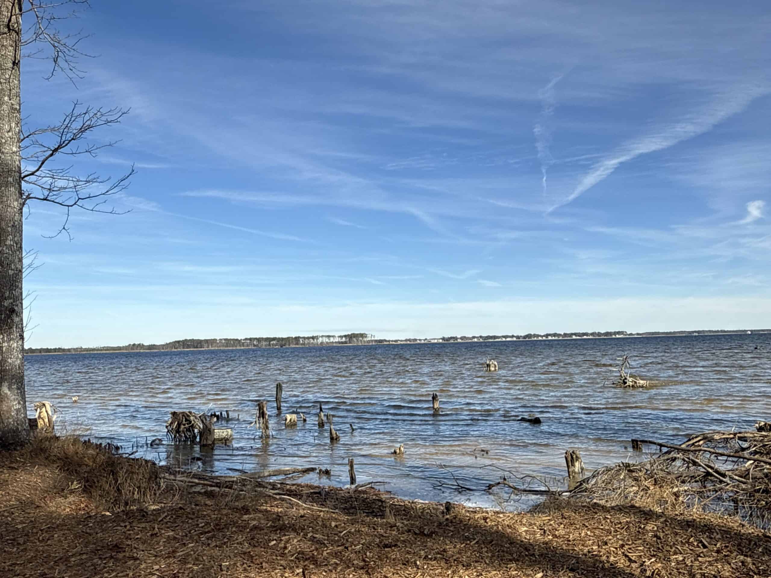 Prime 112-Acre Pungo River Waterfront Land for Sale