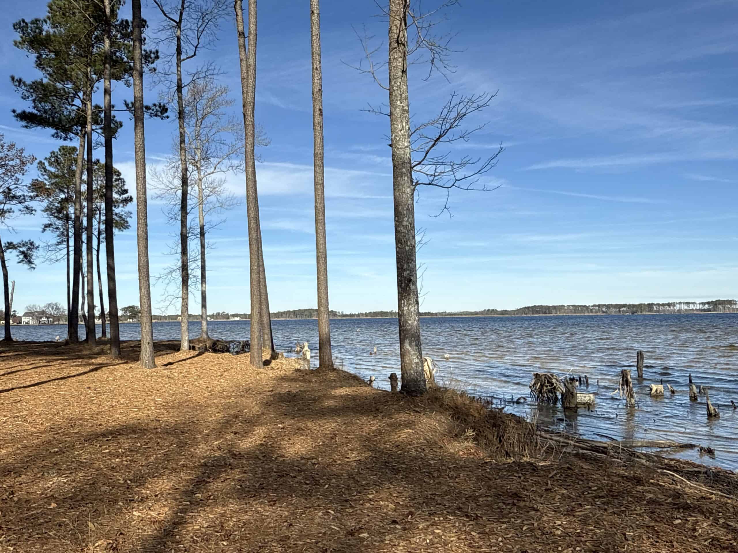 Prime 112-Acre Pungo River Waterfront Land for Sale