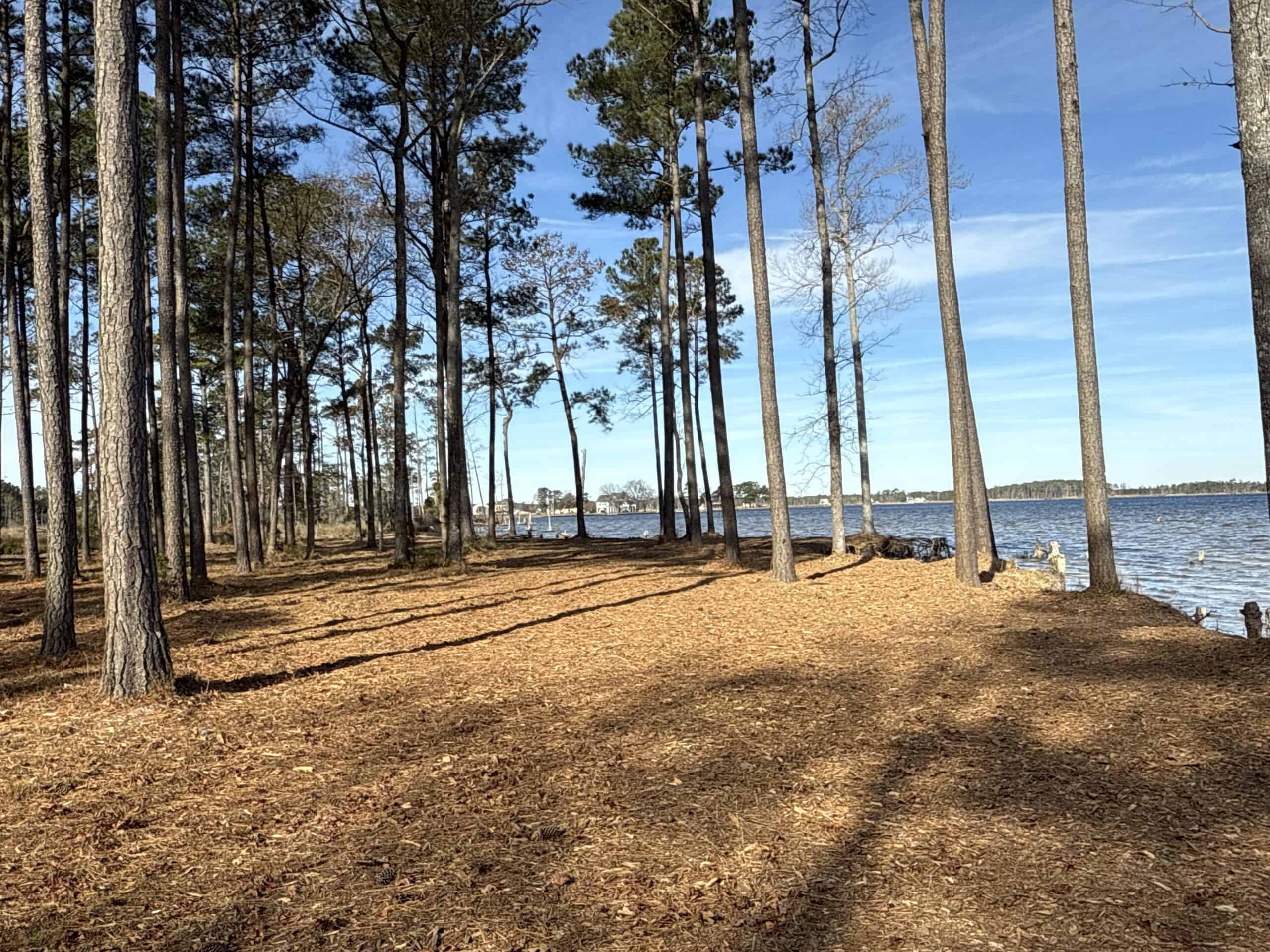 Prime 112-Acre Pungo River Waterfront Land for Sale