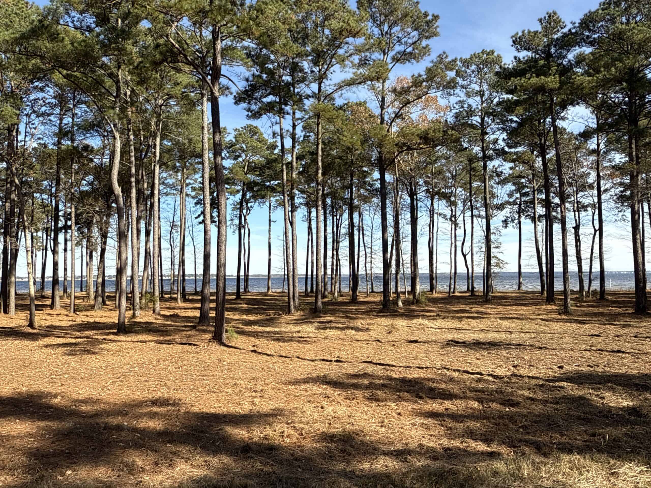 Prime 112-Acre Pungo River Waterfront Land for Sale