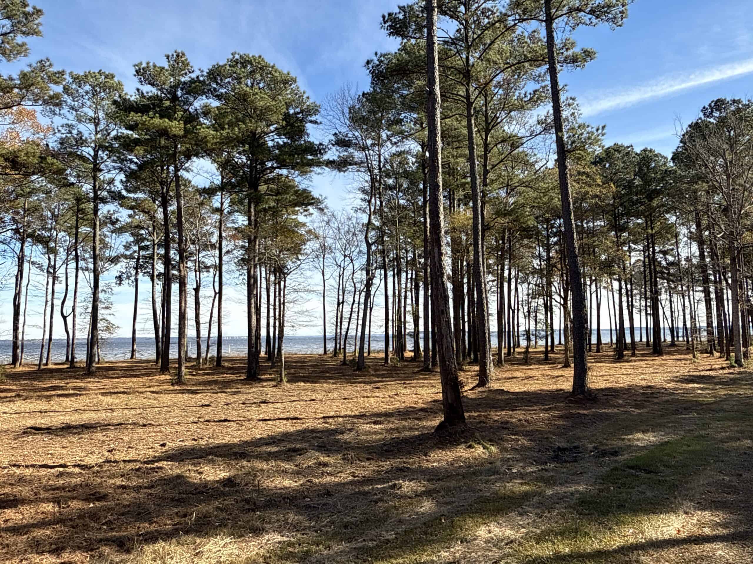 Prime 112-Acre Pungo River Waterfront Land for Sale