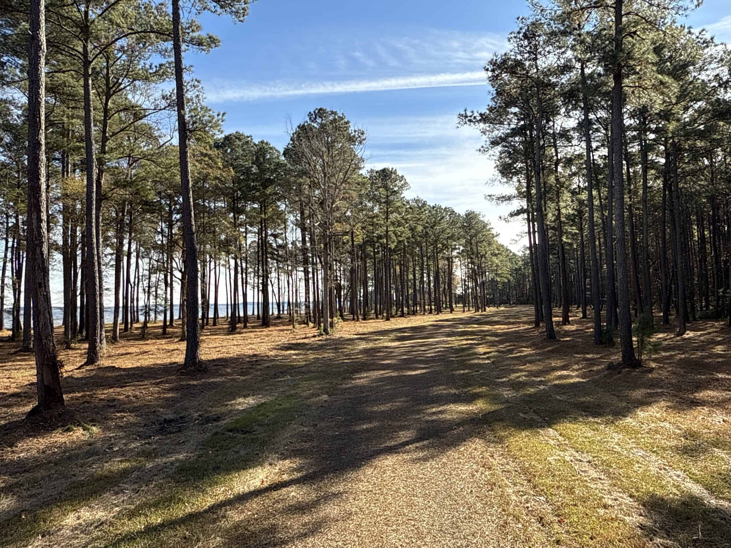 Prime 112-Acre Pungo River Waterfront Land for Sale