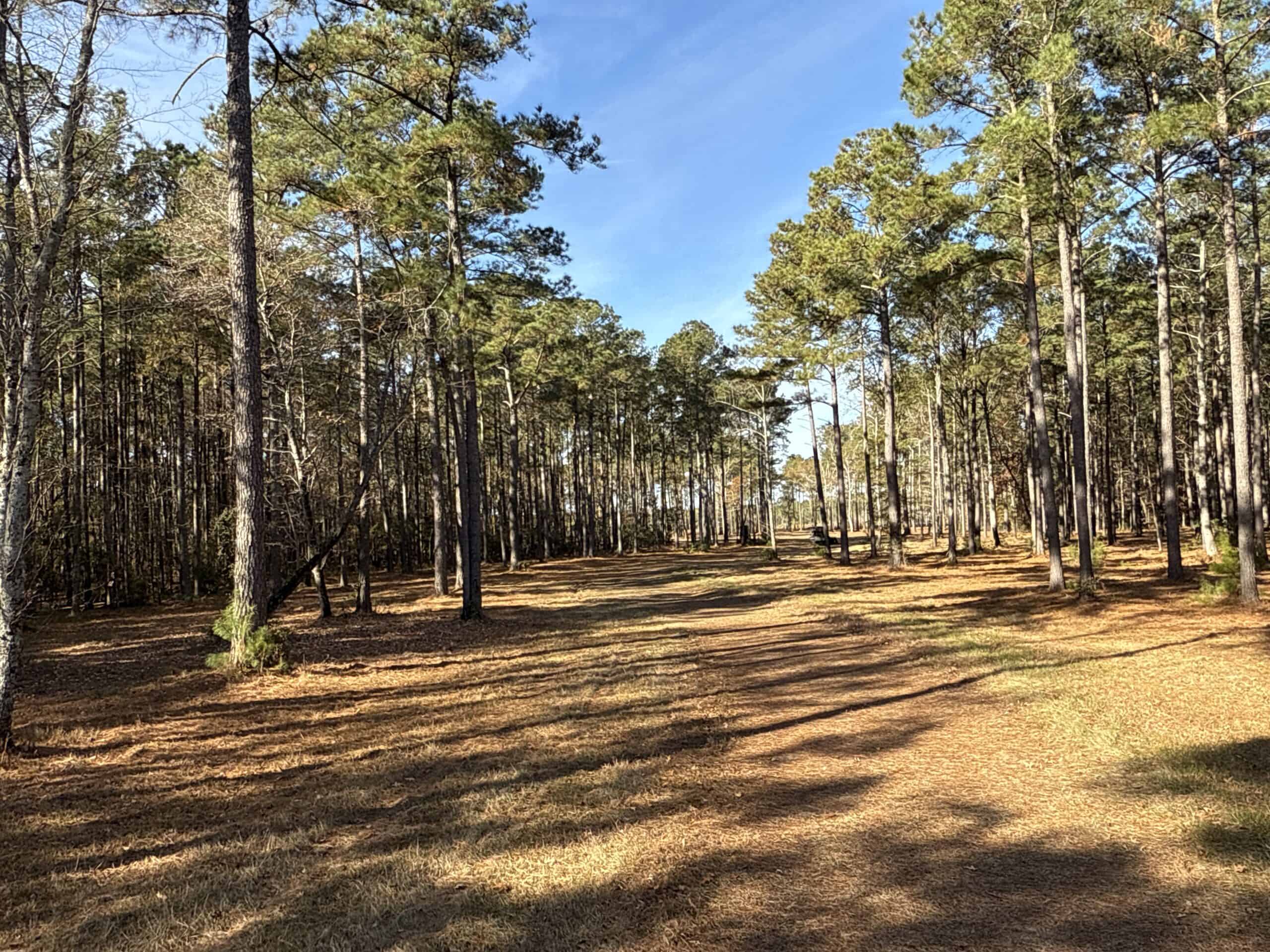 Prime 112-Acre Pungo River Waterfront Land for Sale