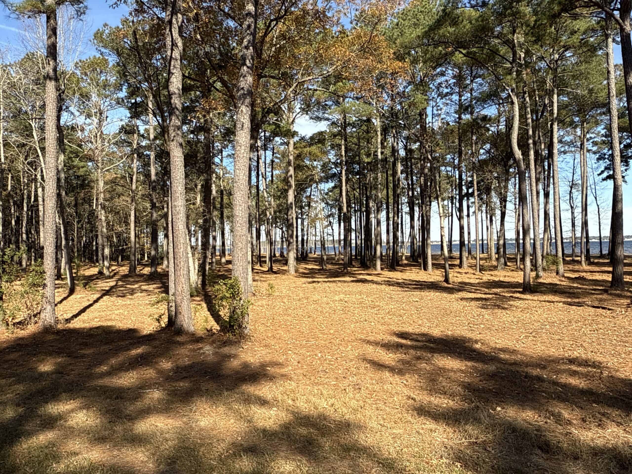 Prime 112-Acre Pungo River Waterfront Land for Sale
