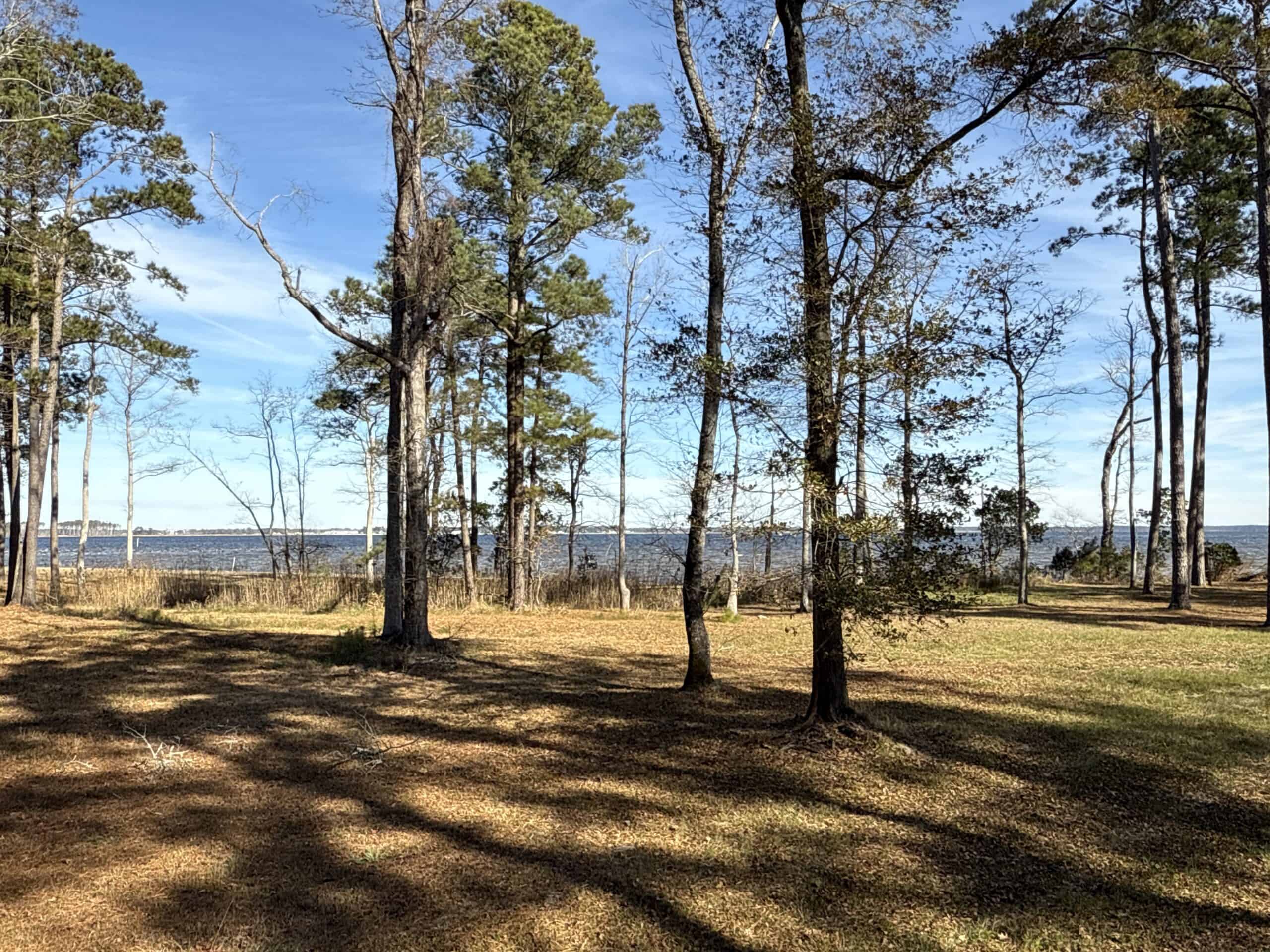 Prime 112-Acre Pungo River Waterfront Land for Sale
