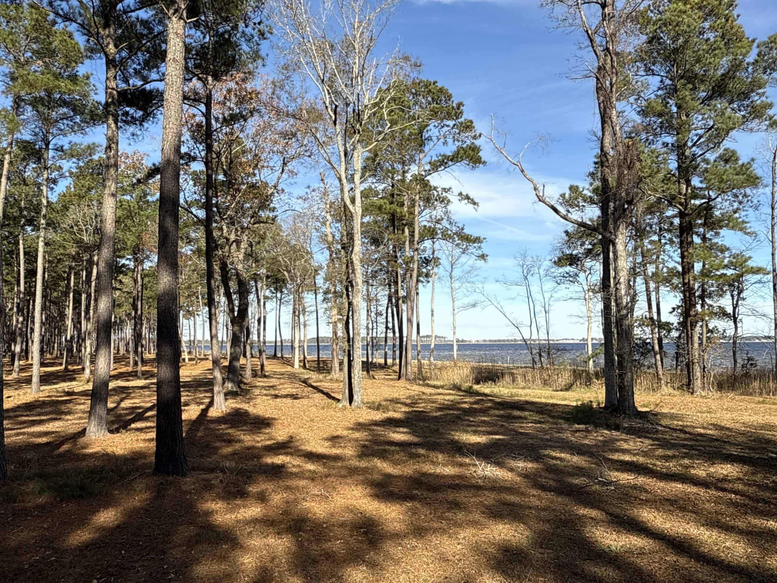 Prime 112-Acre Pungo River Waterfront Land for Sale