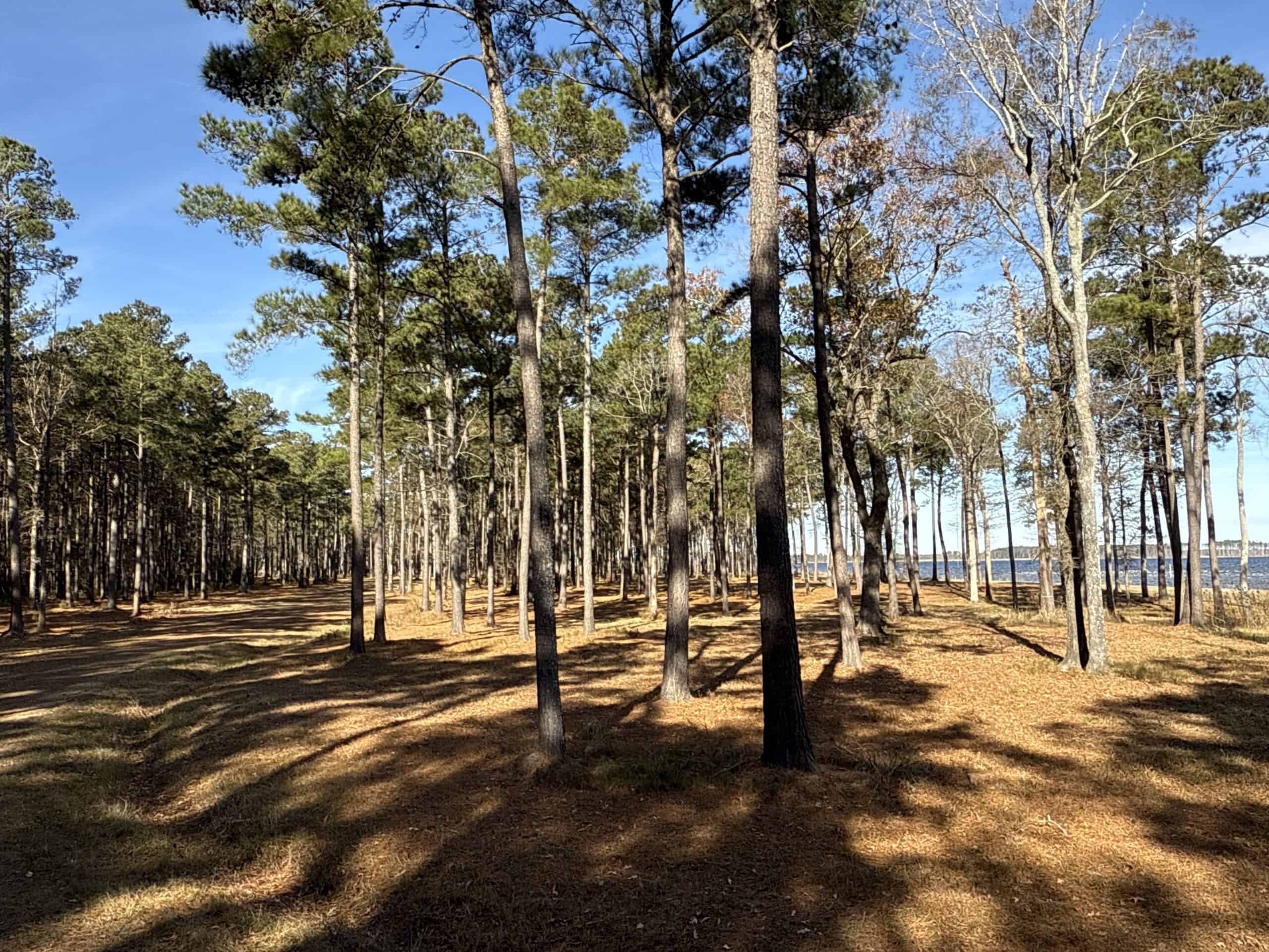 Prime 112-Acre Pungo River Waterfront Land for Sale