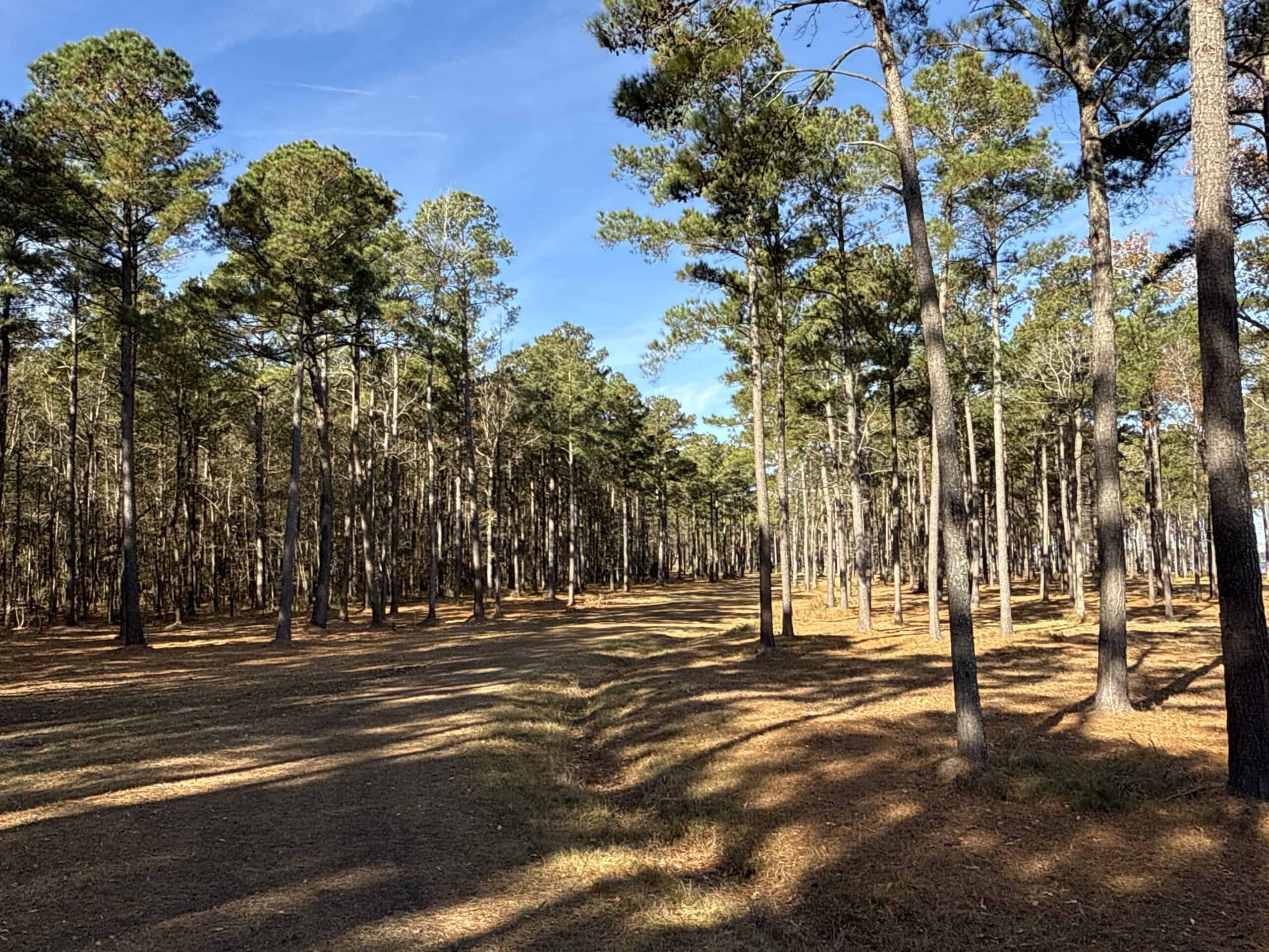 Prime 112-Acre Pungo River Waterfront Land for Sale