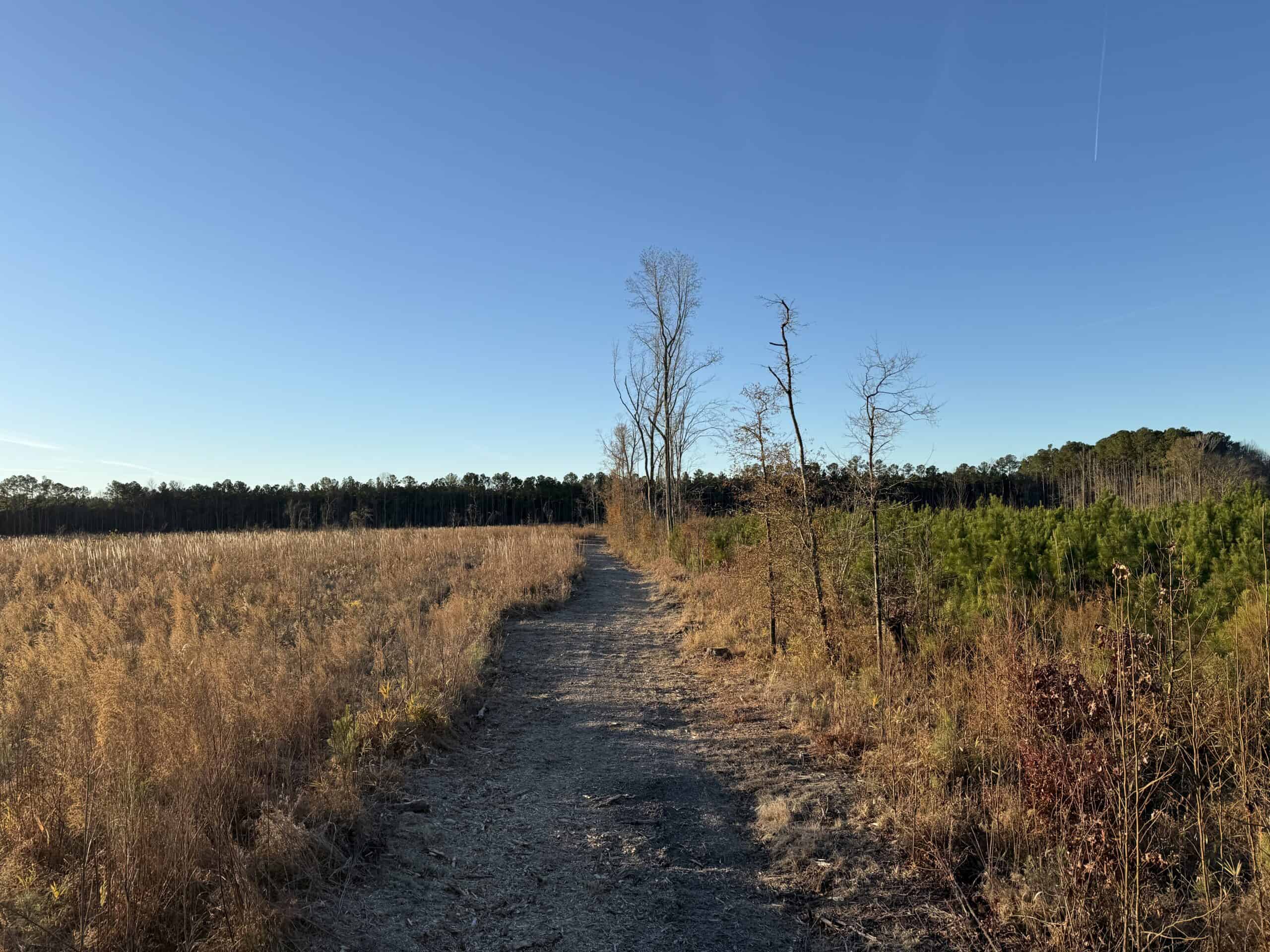 51-Acre Timber & Hunting Tract on Blounts Creek, NC