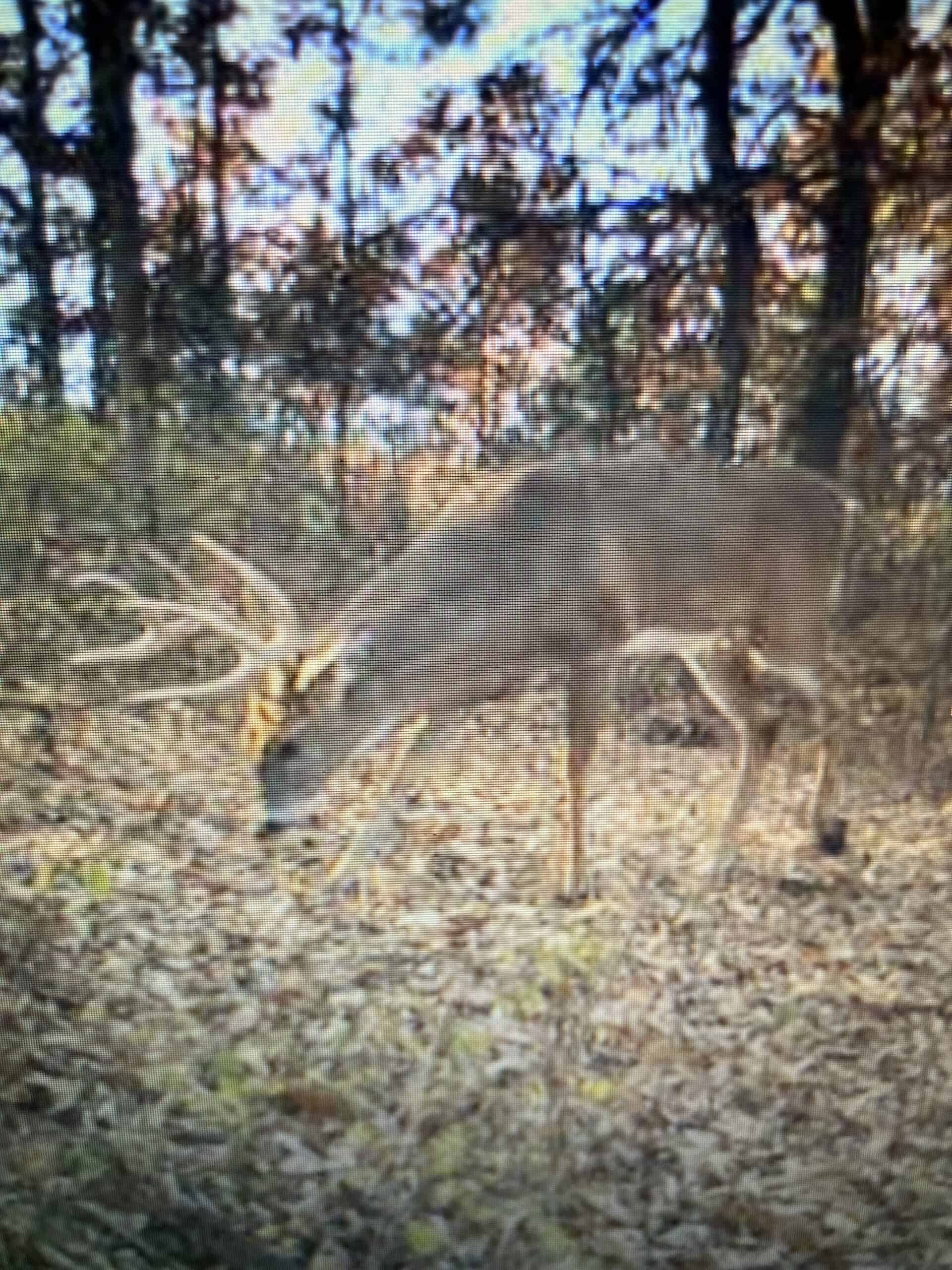 NW MO Hunting Paradise For Sale