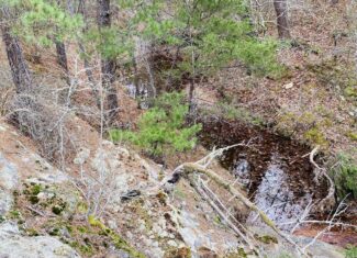 OFF-GRID CABIN AND ACREAGE FOR SALE IN NORTH CENTRAL ARKANSAS