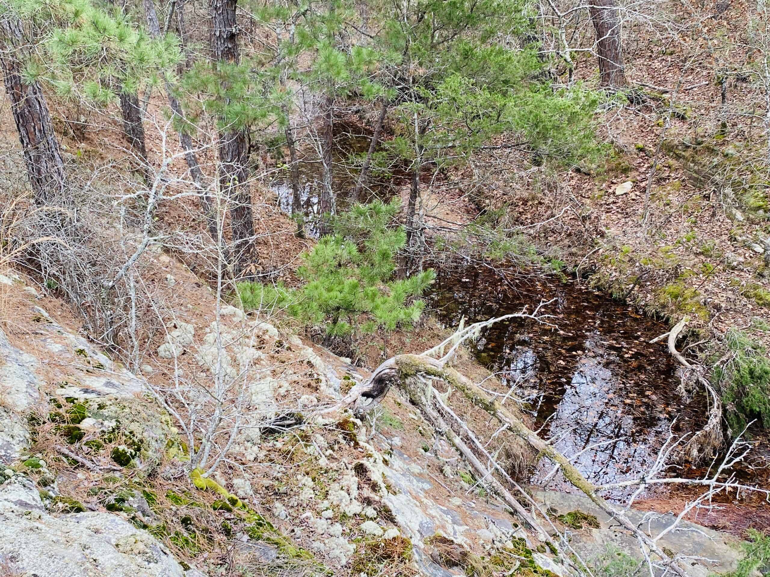 OFF-GRID CABIN AND ACREAGE FOR SALE IN NORTH CENTRAL ARKANSAS