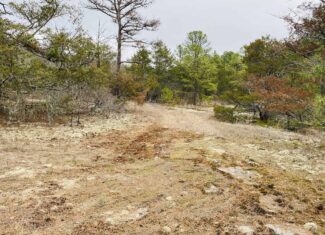 OFF-GRID CABIN AND ACREAGE FOR SALE IN NORTH CENTRAL ARKANSAS