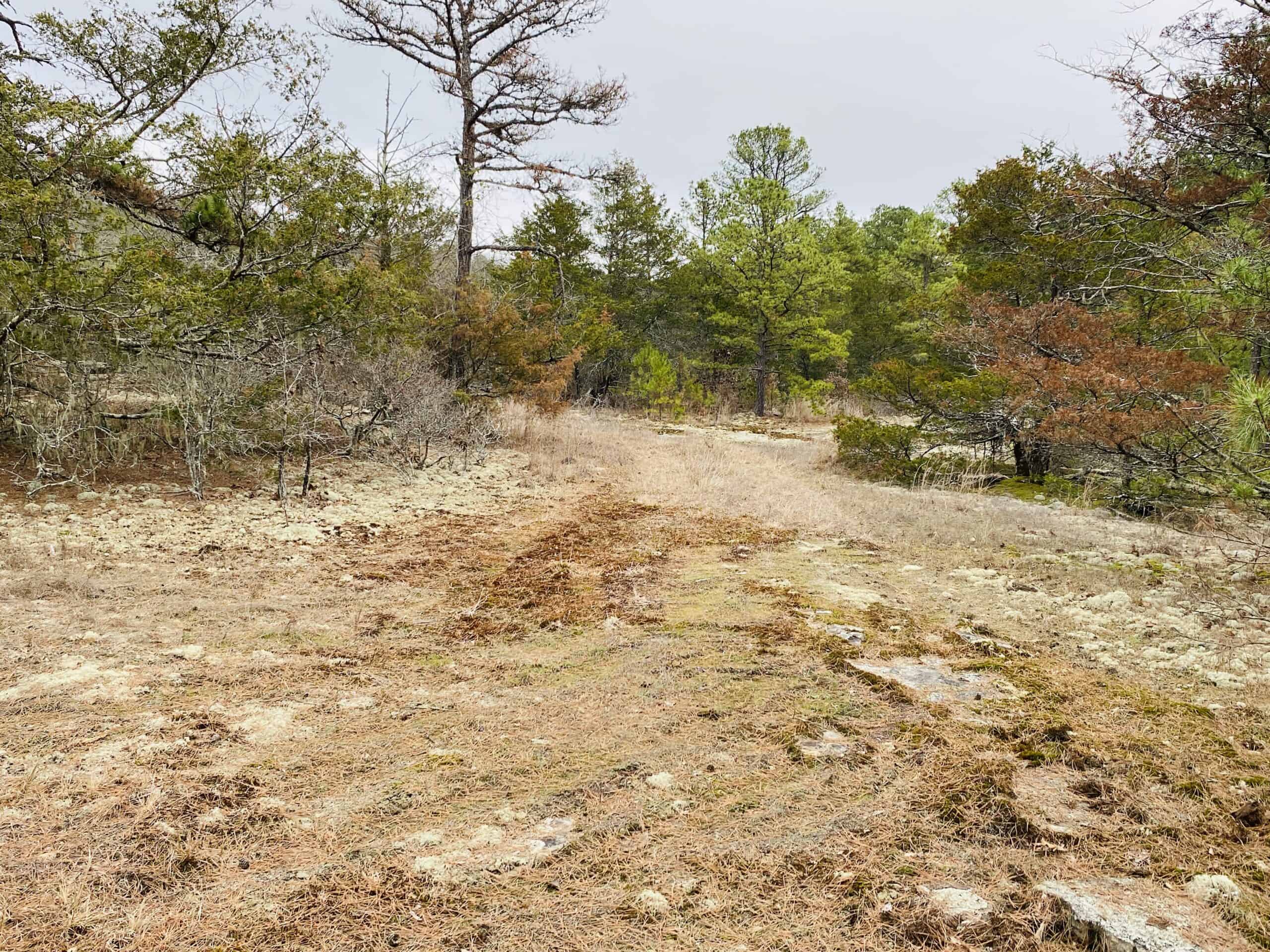OFF-GRID CABIN AND ACREAGE FOR SALE IN NORTH CENTRAL ARKANSAS