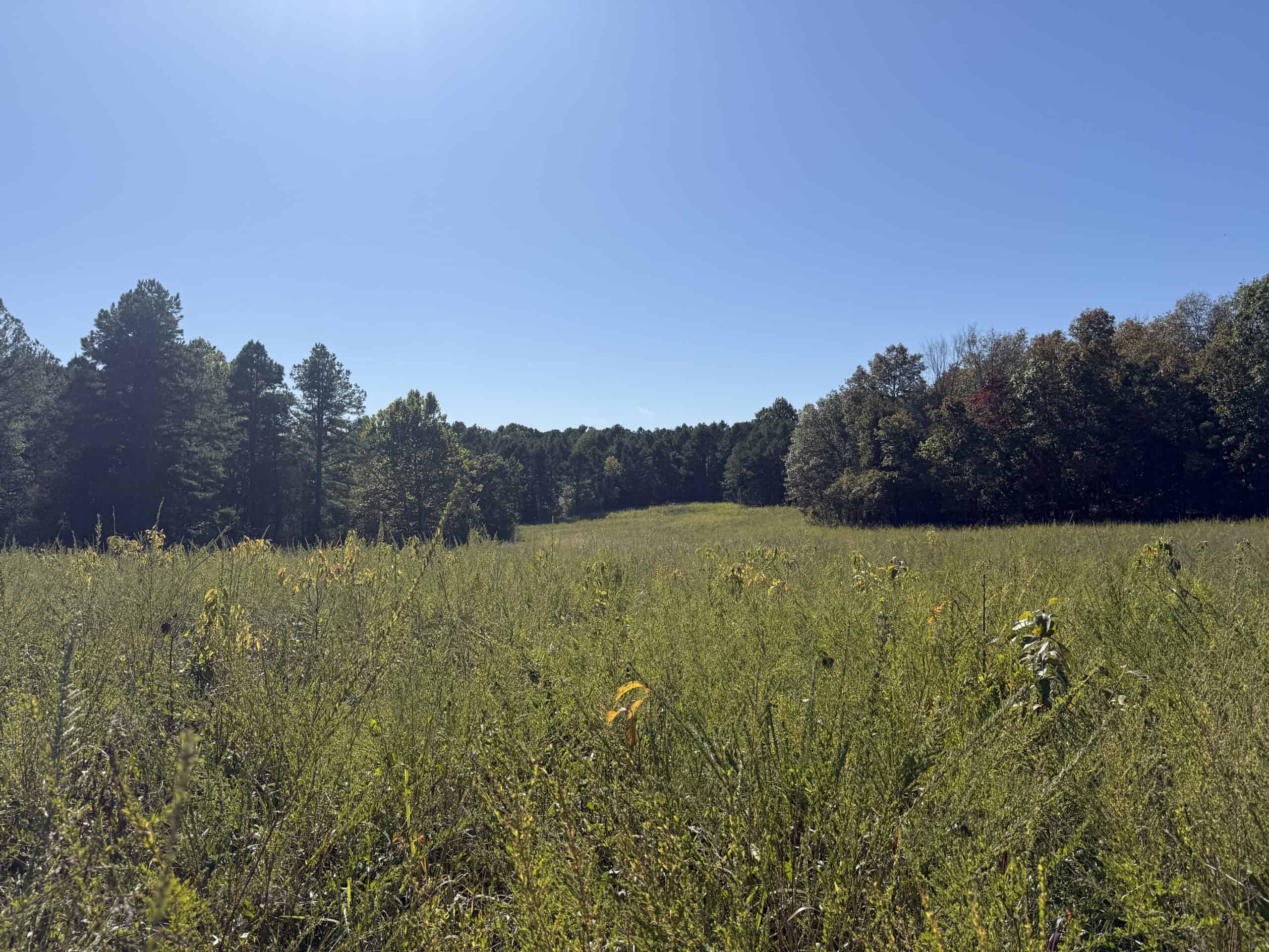 HUNTING LAND FOR SALE IN NORTH CENTRAL ARKANSAS