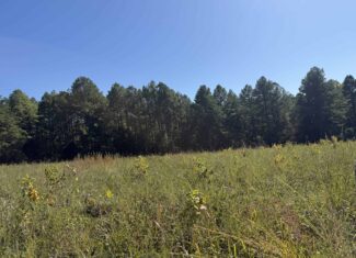 HUNTING LAND FOR SALE IN NORTH CENTRAL ARKANSAS