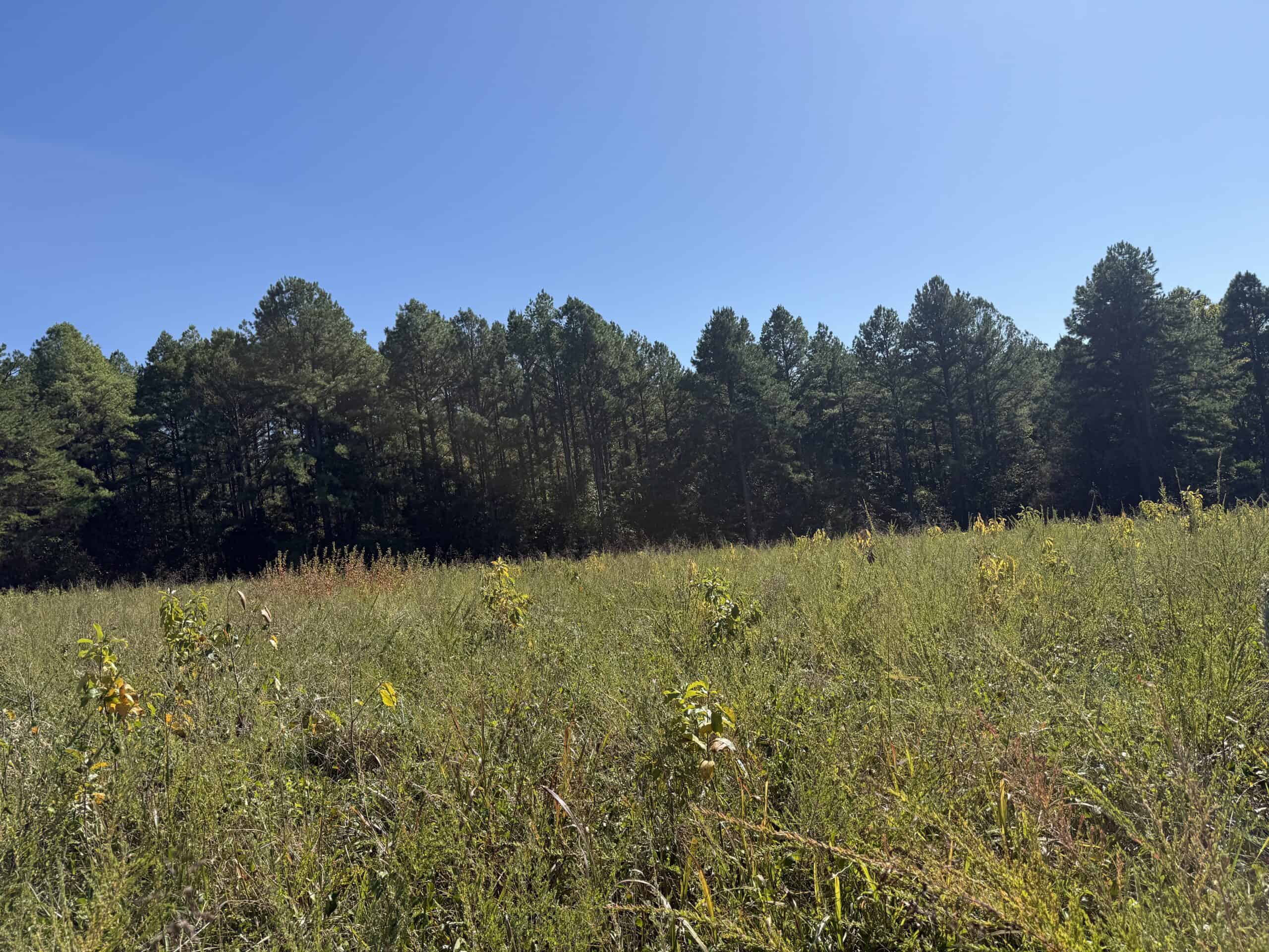 HUNTING LAND FOR SALE IN NORTH CENTRAL ARKANSAS