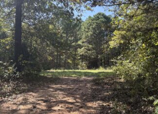 HUNTING LAND FOR SALE IN NORTH CENTRAL ARKANSAS