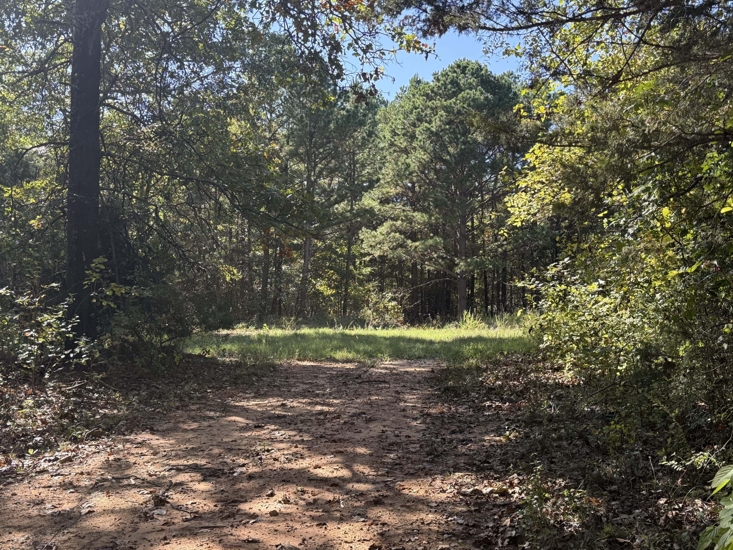 HUNTING LAND FOR SALE IN NORTH CENTRAL ARKANSAS