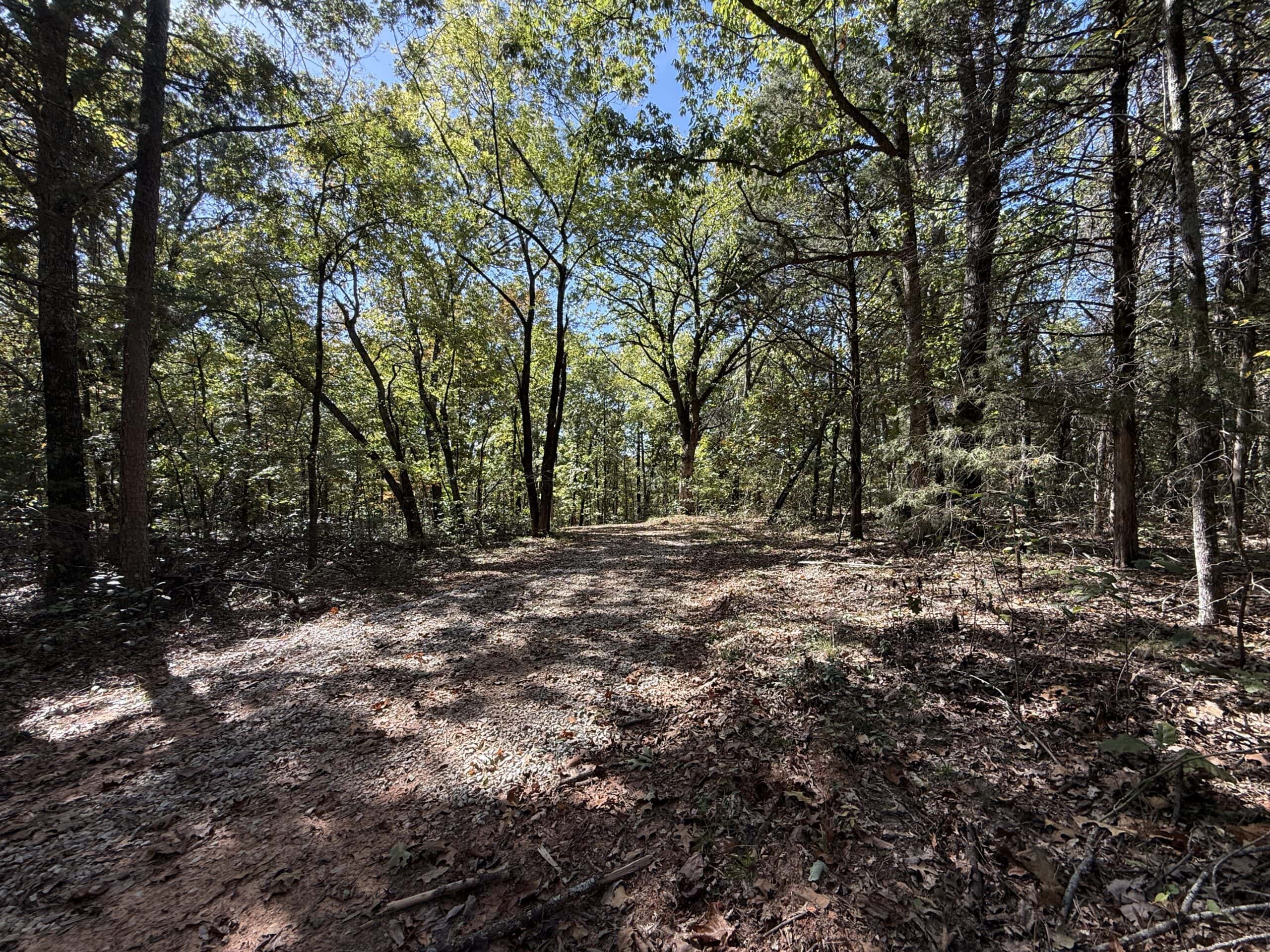HUNTING LAND FOR SALE IN NORTH CENTRAL ARKANSAS