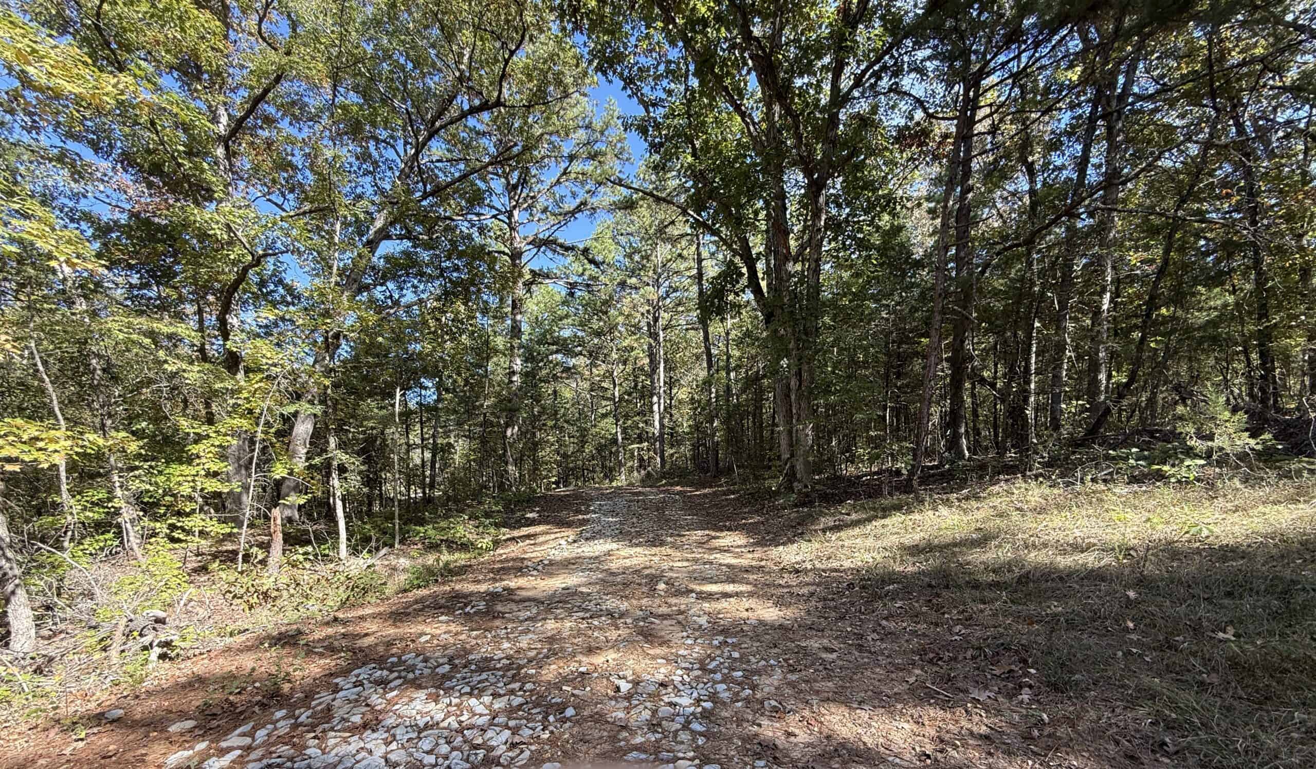HUNTING LAND FOR SALE IN NORTH CENTRAL ARKANSAS