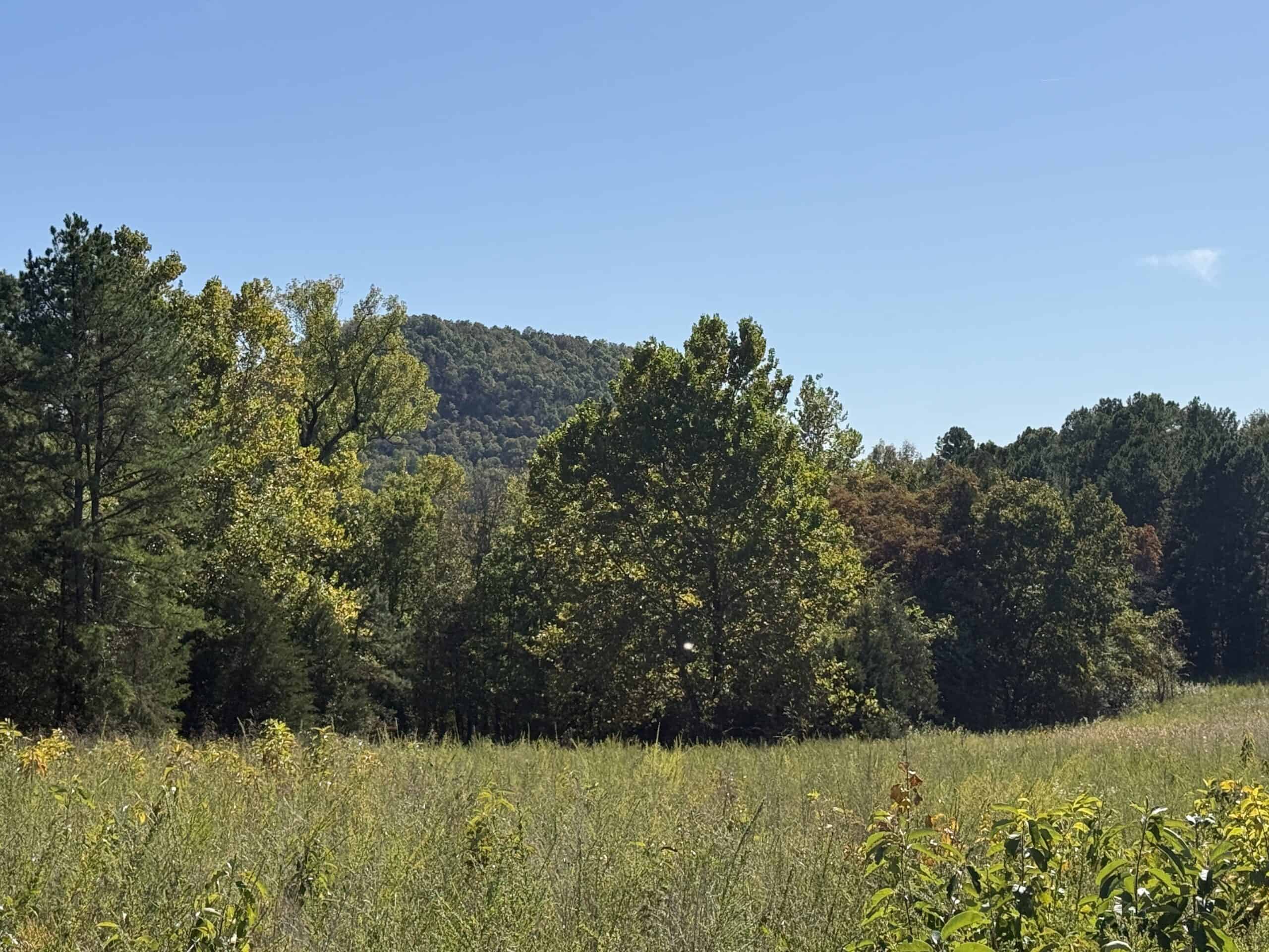 HUNTING LAND FOR SALE IN NORTH CENTRAL ARKANSAS