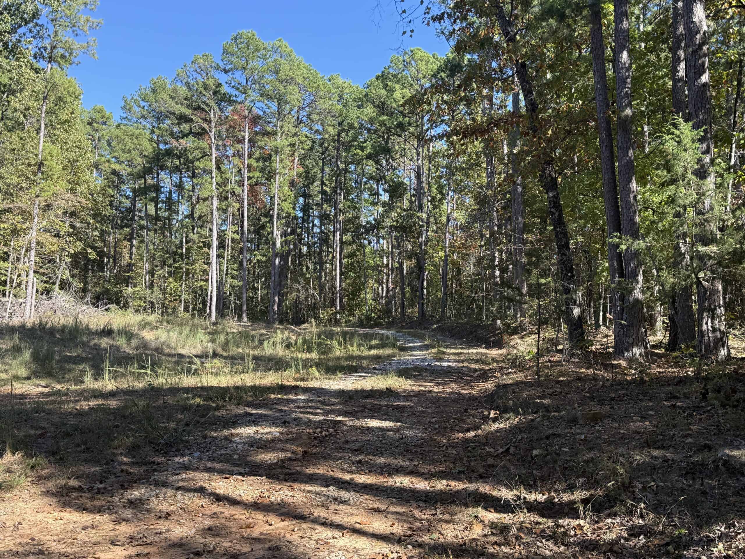 HUNTING LAND FOR SALE IN NORTH CENTRAL ARKANSAS