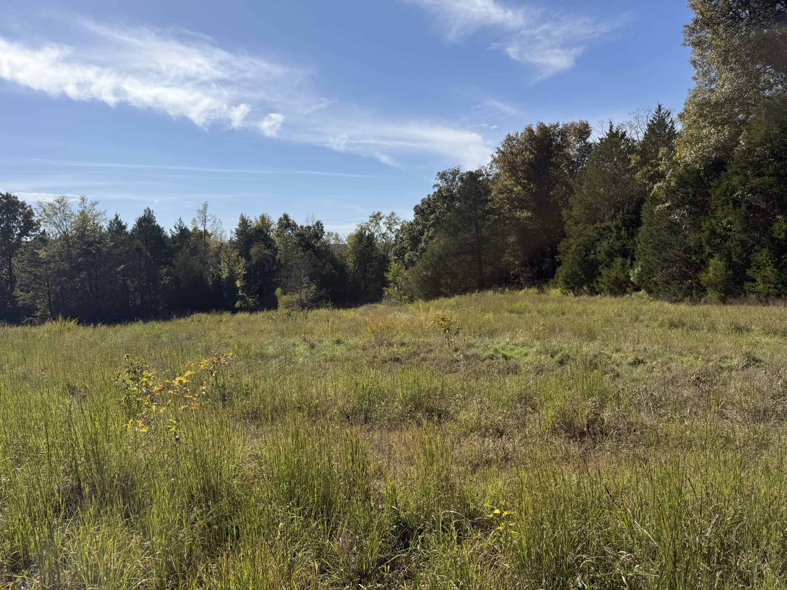 HUNTING LAND FOR SALE IN NORTH CENTRAL ARKANSAS