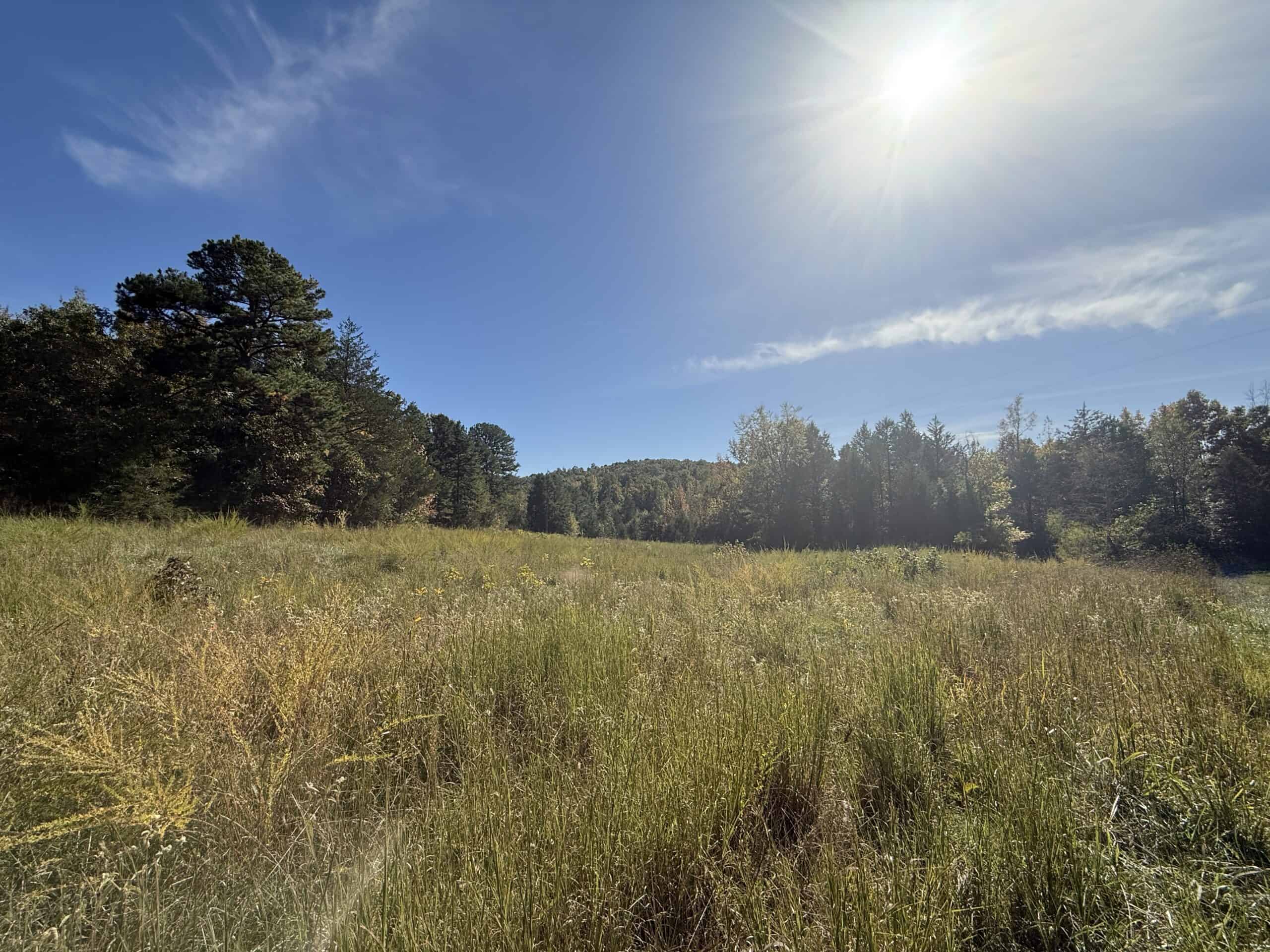 HUNTING LAND FOR SALE IN NORTH CENTRAL ARKANSAS