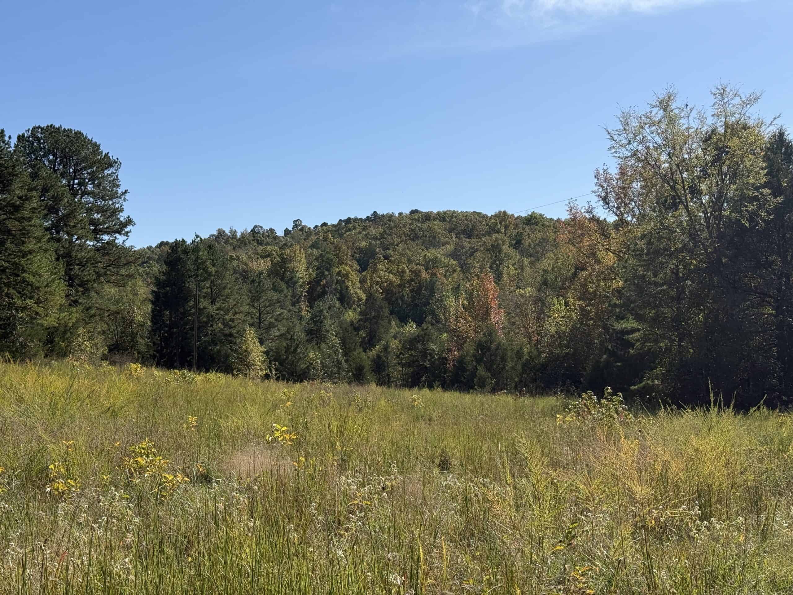 HUNTING LAND FOR SALE IN NORTH CENTRAL ARKANSAS