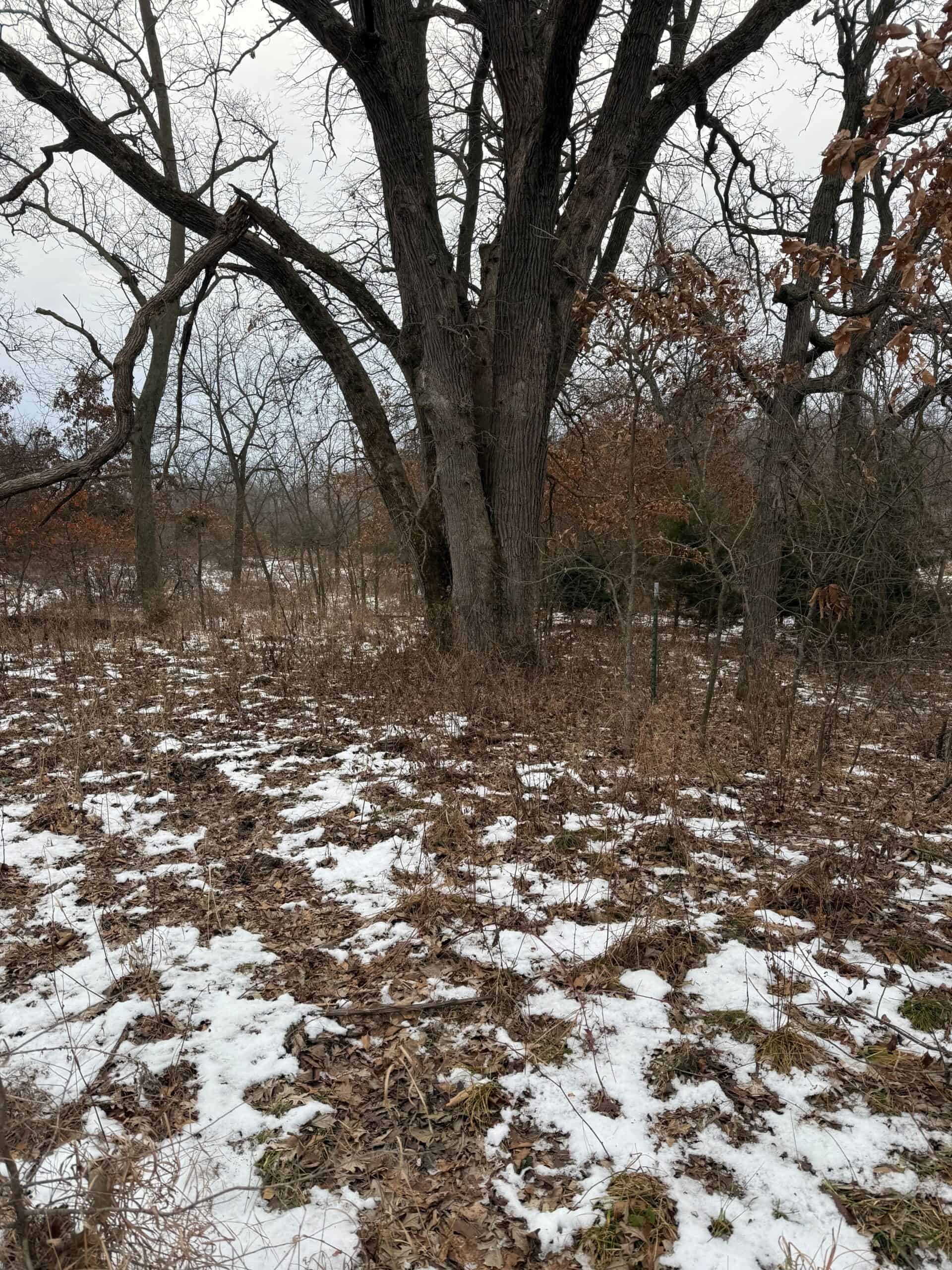 Ultimate Hunting Paradise: 45 M/L Acres in Davis Co