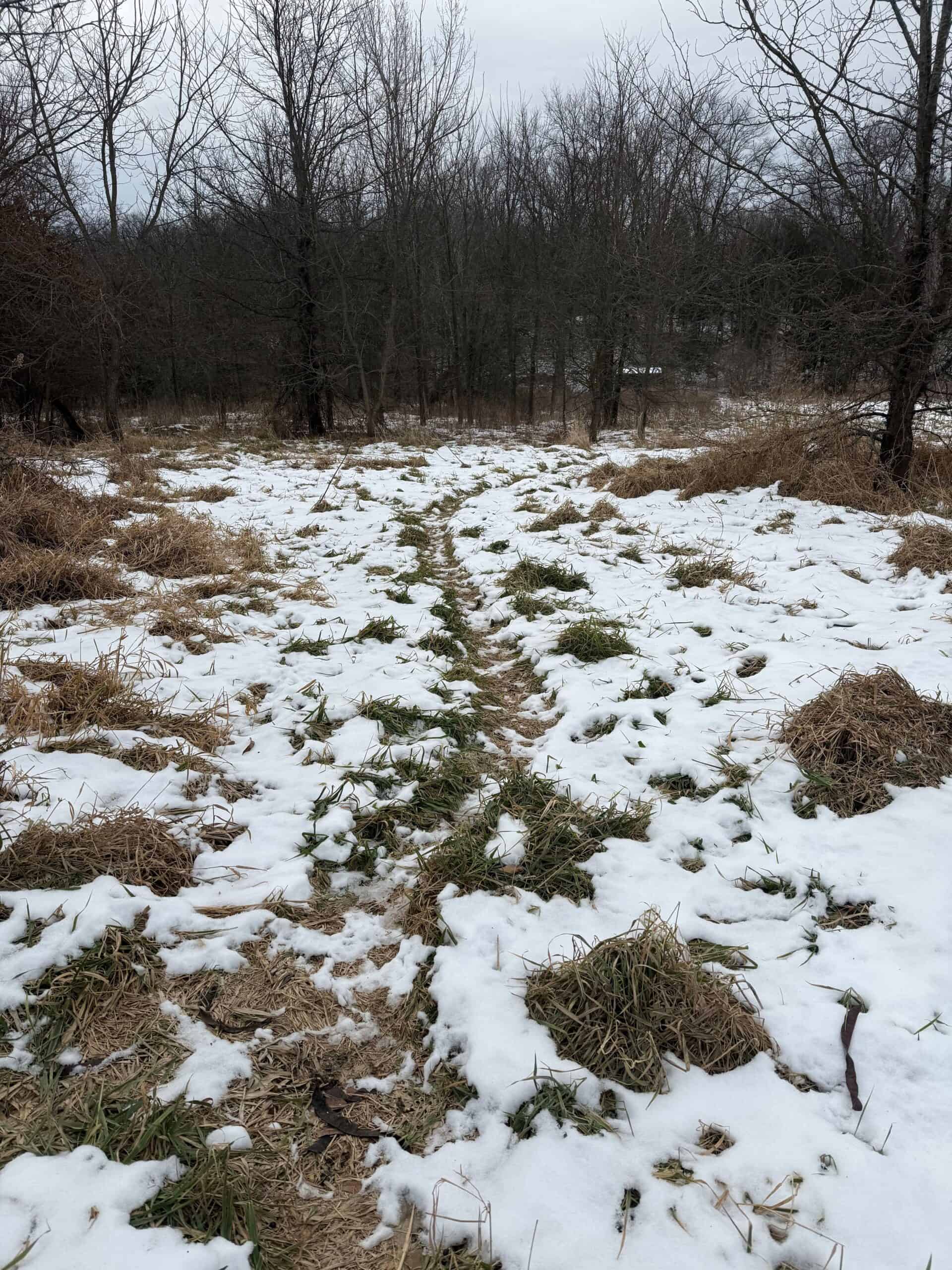 Ultimate Hunting Paradise: 45 M/L Acres in Davis Co