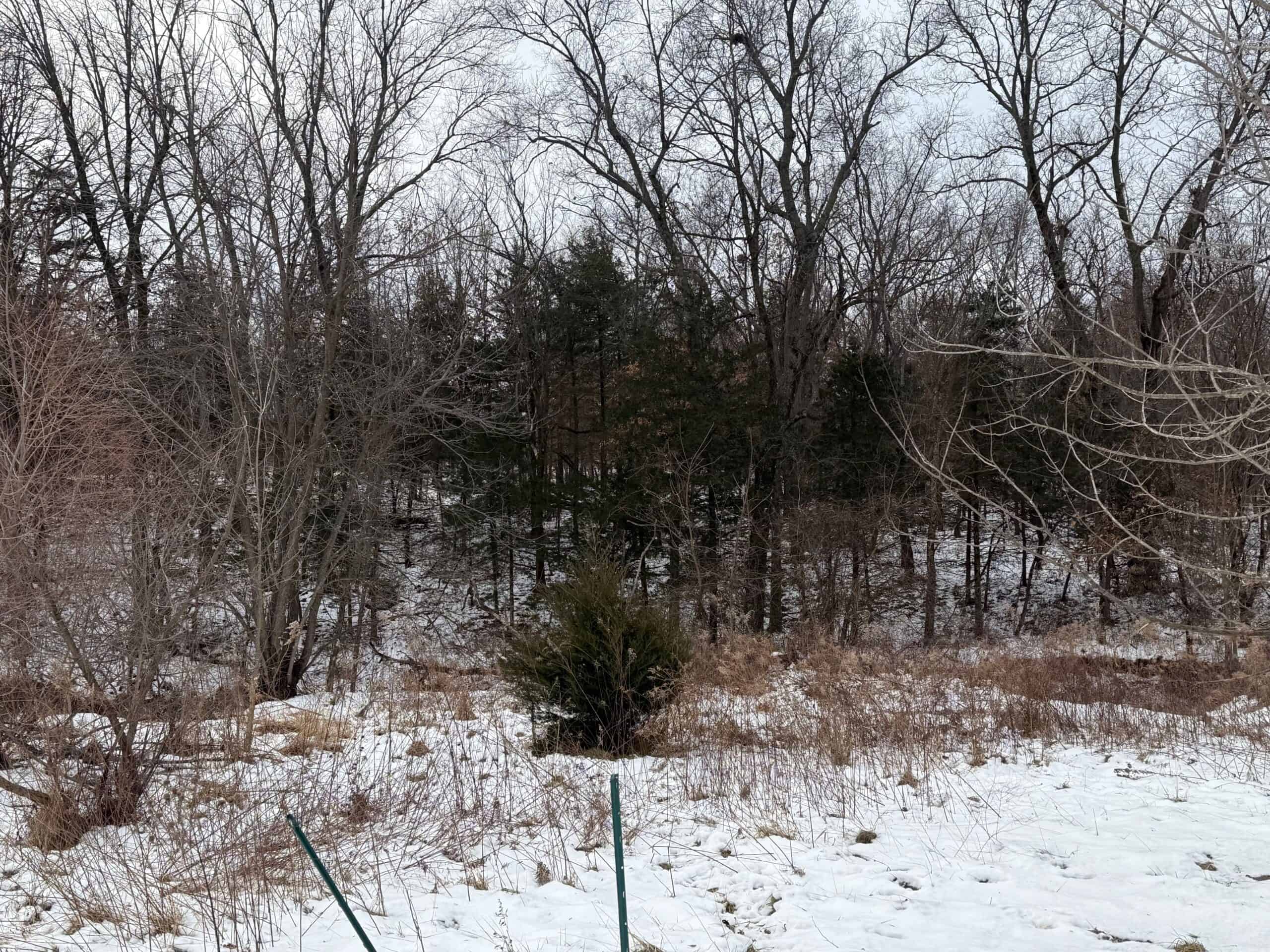 Ultimate Hunting Paradise: 45 M/L Acres in Davis Co