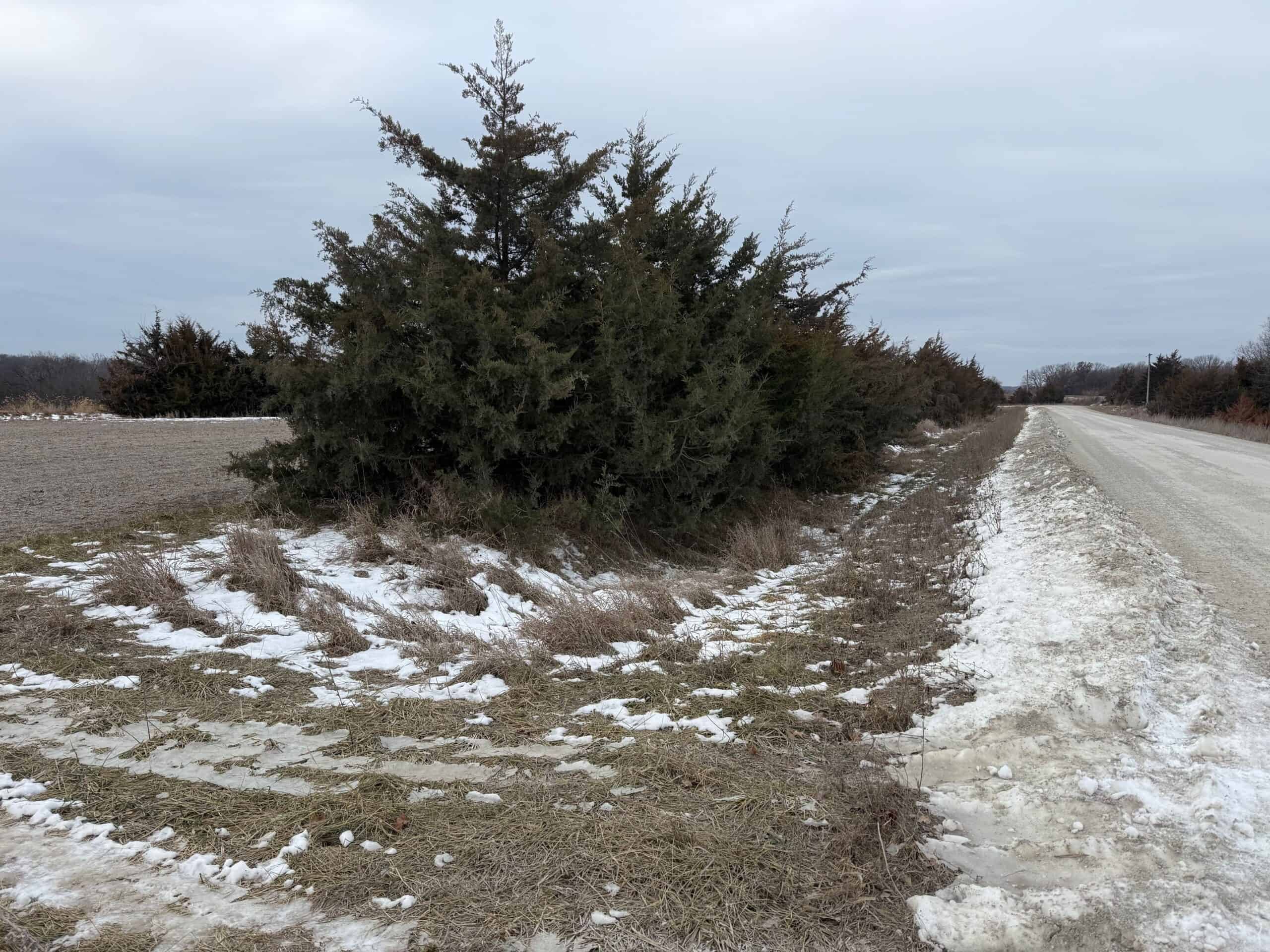 Ultimate Hunting Paradise: 45 M/L Acres in Davis Co