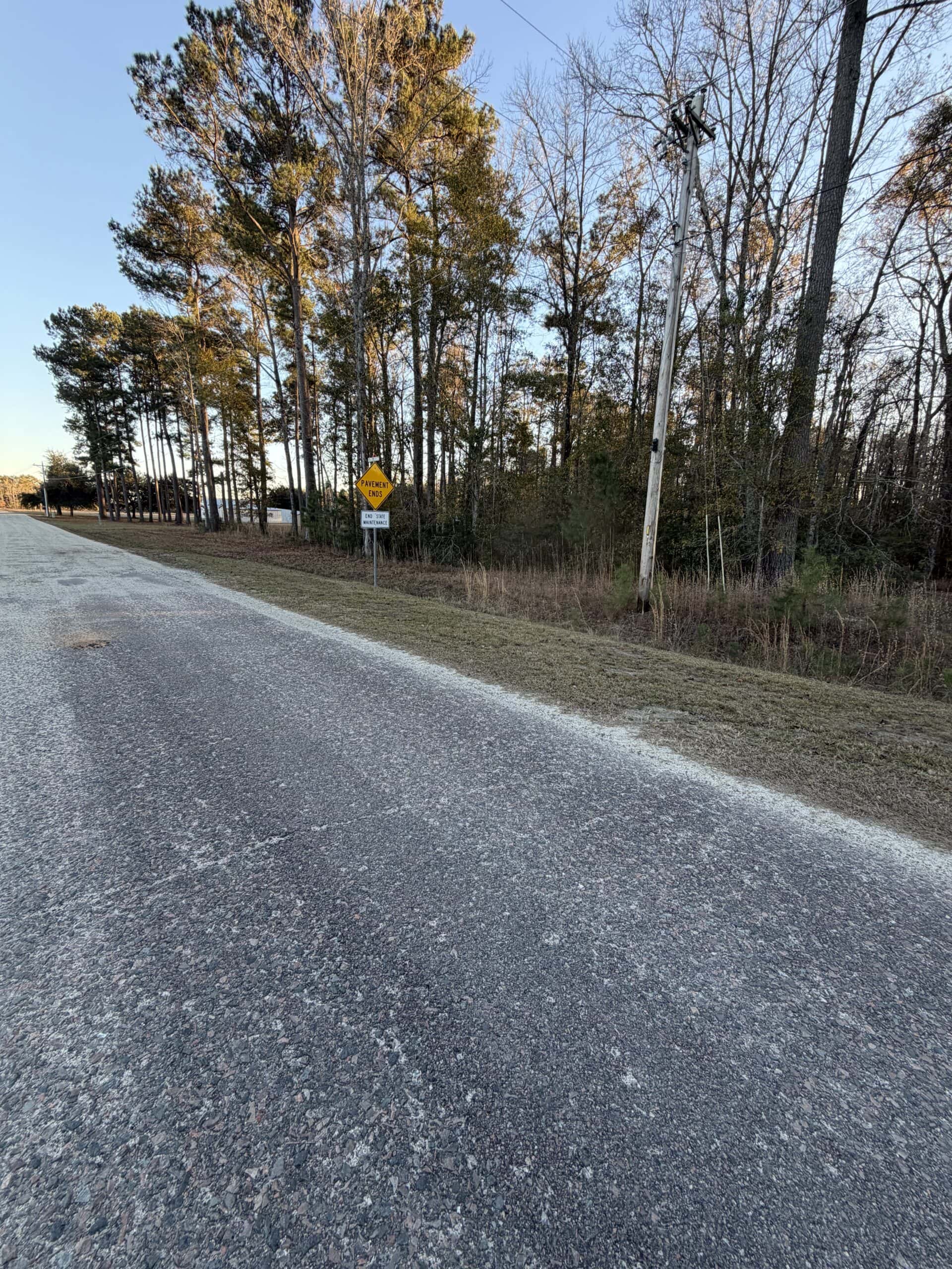 Nestled right in the heart of Hampton County, this 8-acre parcel is a wooded haven!