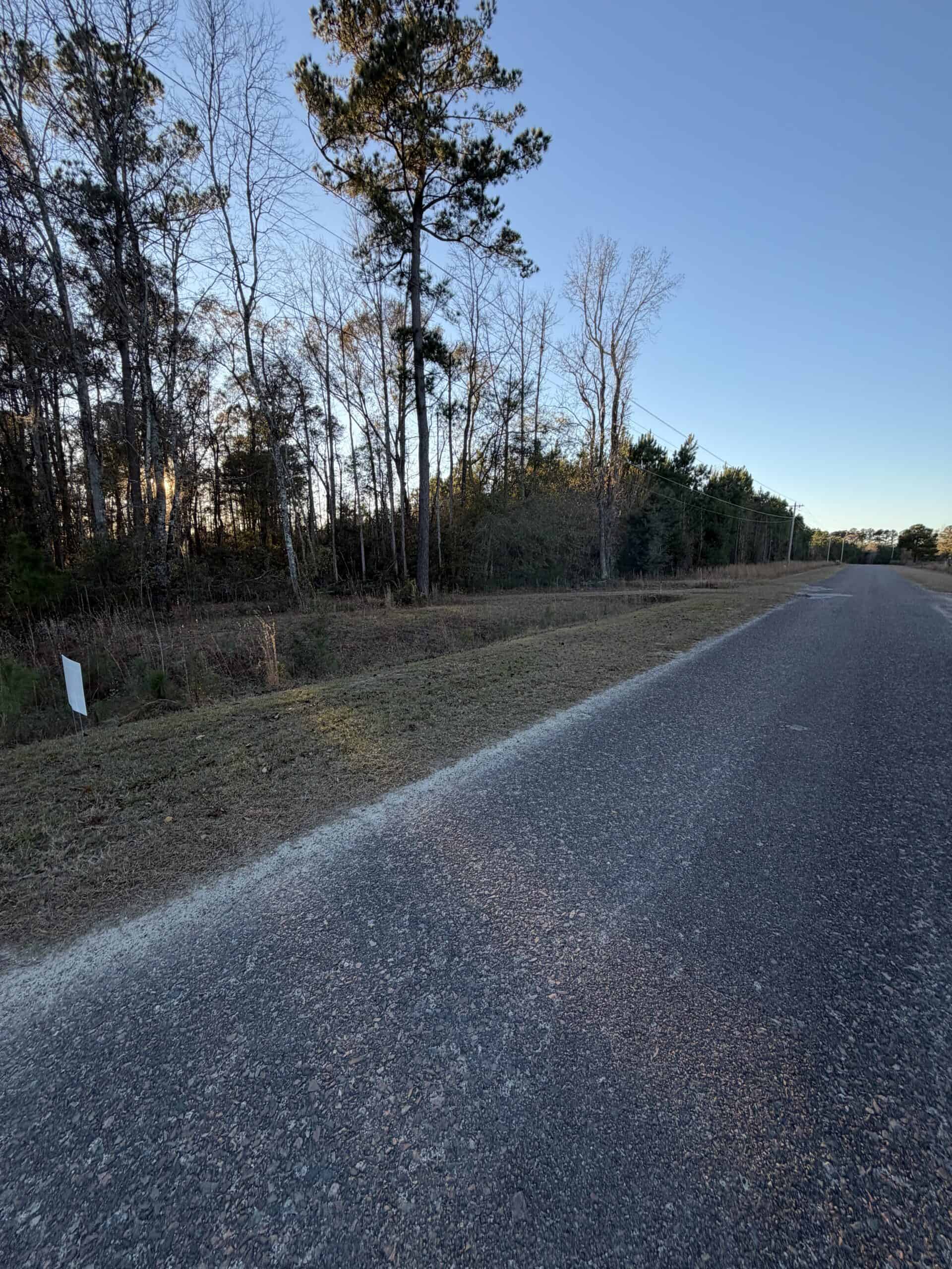 Nestled right in the heart of Hampton County, this 8-acre parcel is a wooded haven!