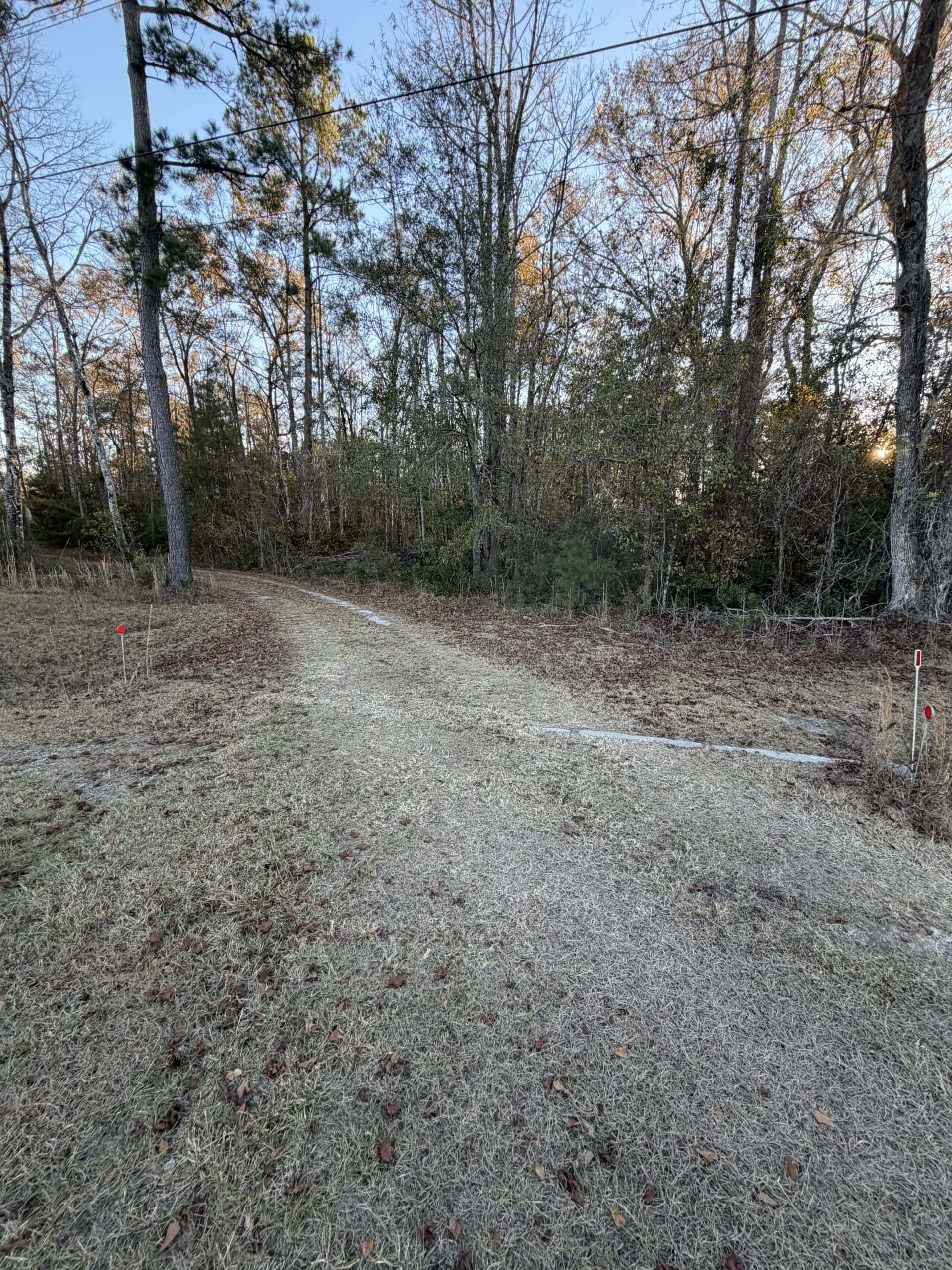Nestled right in the heart of Hampton County, this 8-acre parcel is a wooded haven!