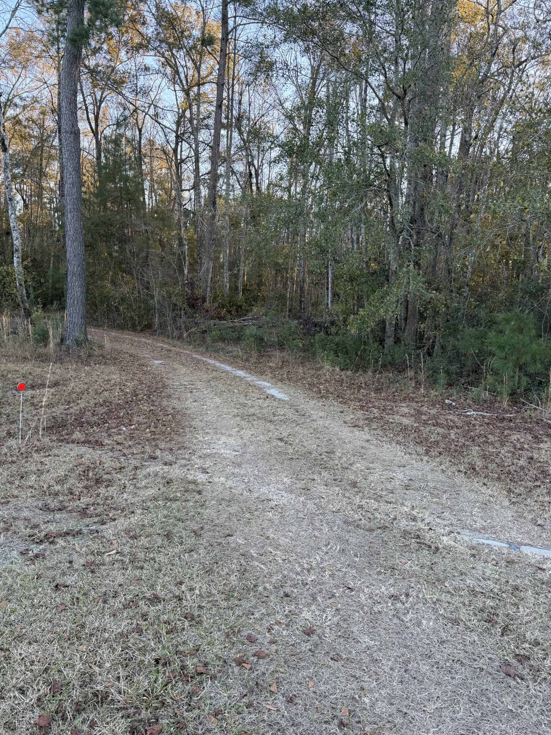 Nestled right in the heart of Hampton County, this 8-acre parcel is a wooded haven!