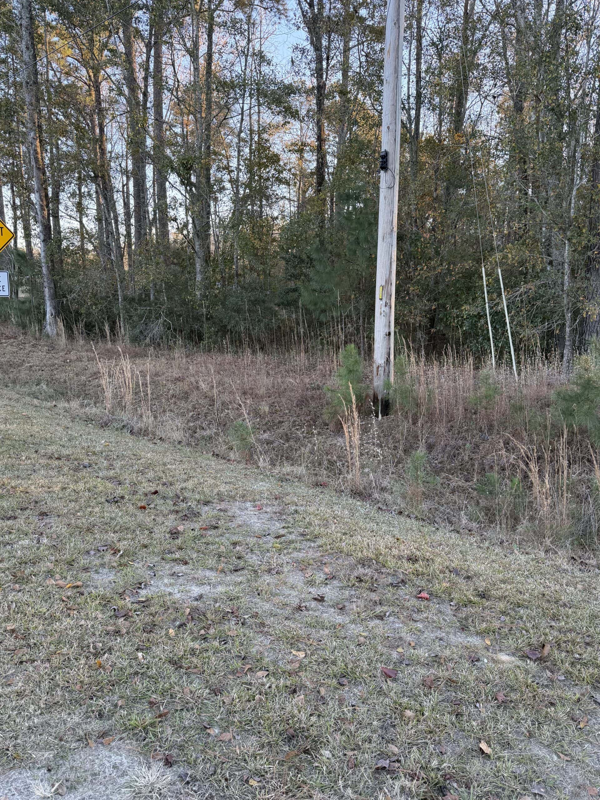 Nestled right in the heart of Hampton County, this 8-acre parcel is a wooded haven!