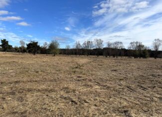 Private Unrestricted Land Near Paris, TX – With Electric