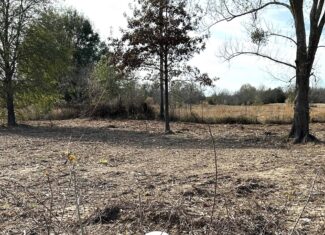 Private Unrestricted Land Near Paris, TX – With Electric