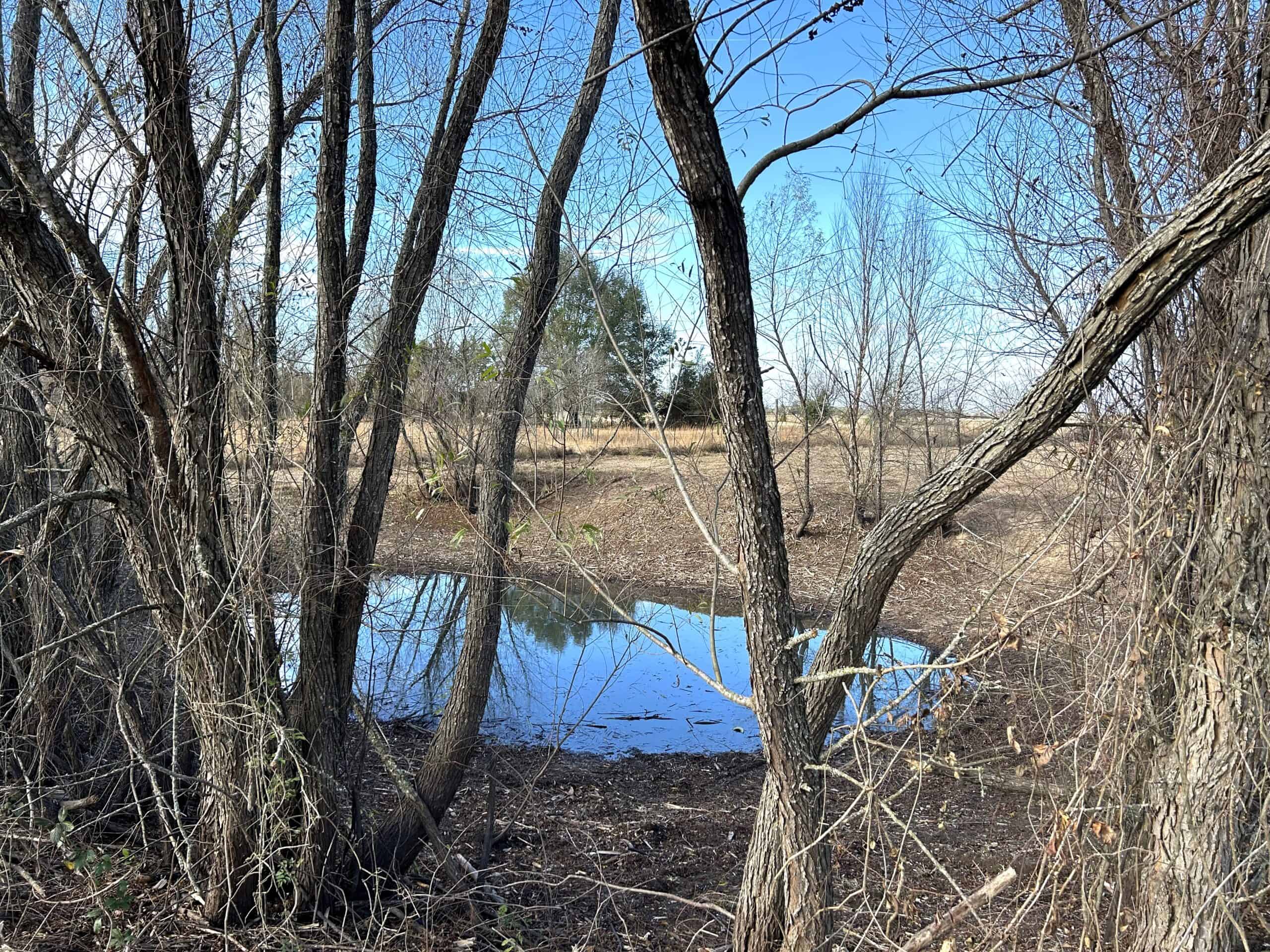 Private Unrestricted Land Near Paris, TX – With Electric