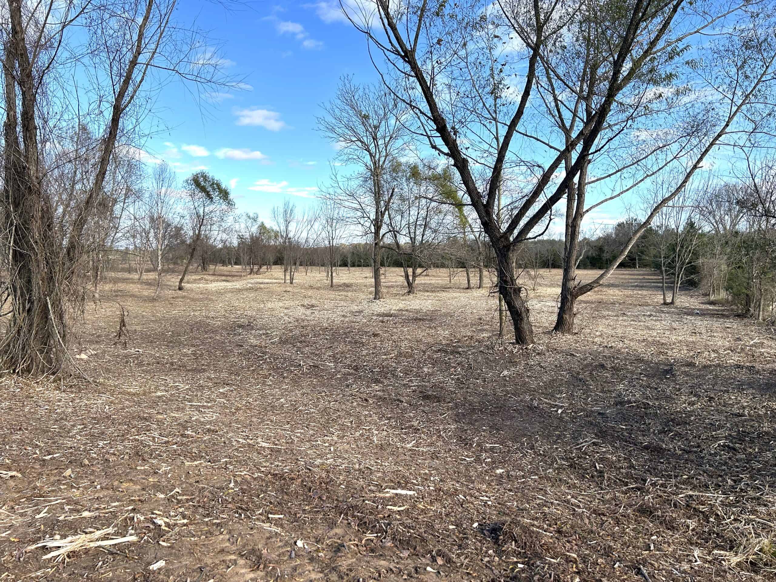 Private Unrestricted Land Near Paris, TX – With Electric