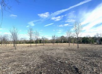 Private Unrestricted Land Near Paris, TX – With Electric